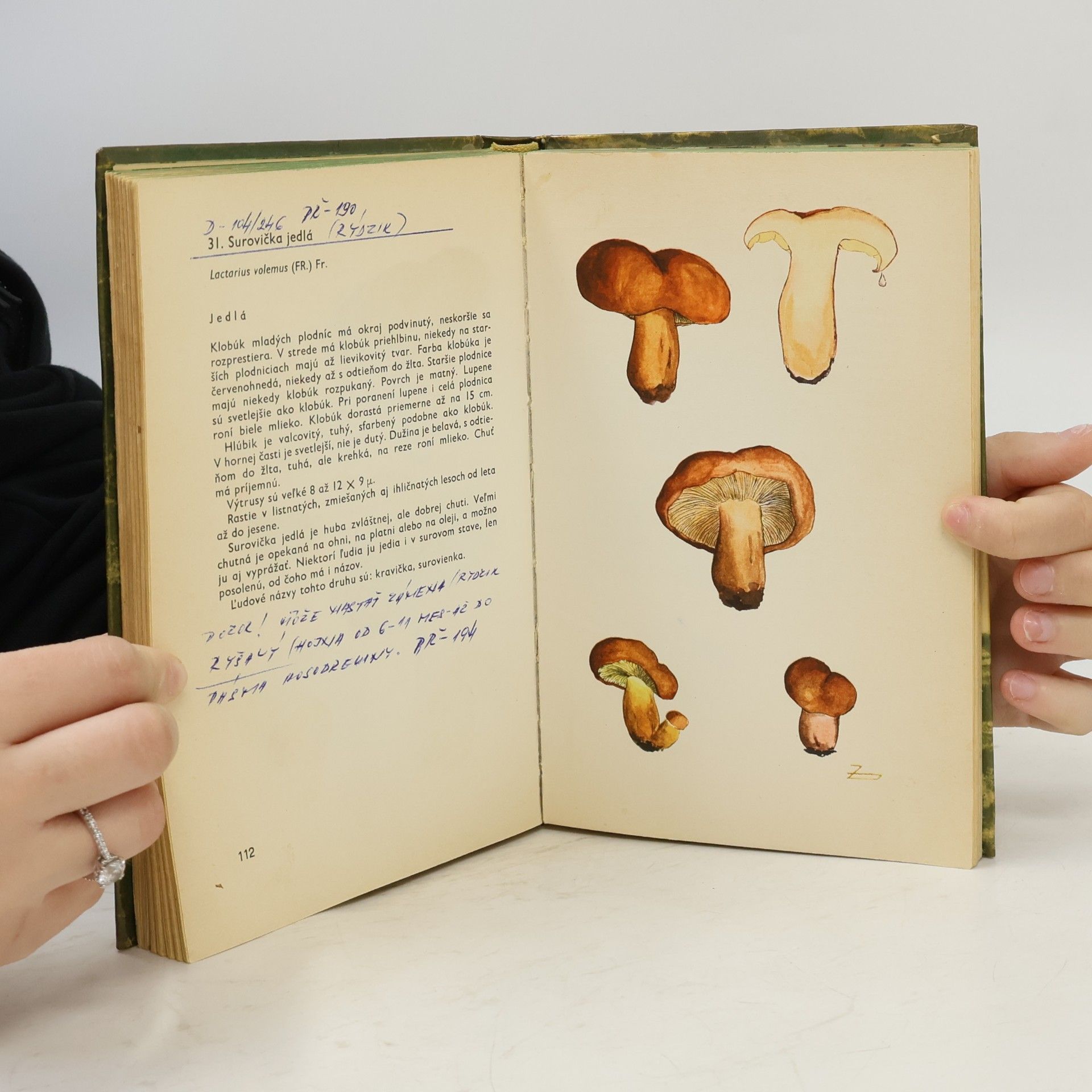 Mira Zvarová Zbierame huby. Atlas vybraných jedlých a jedovatých húb