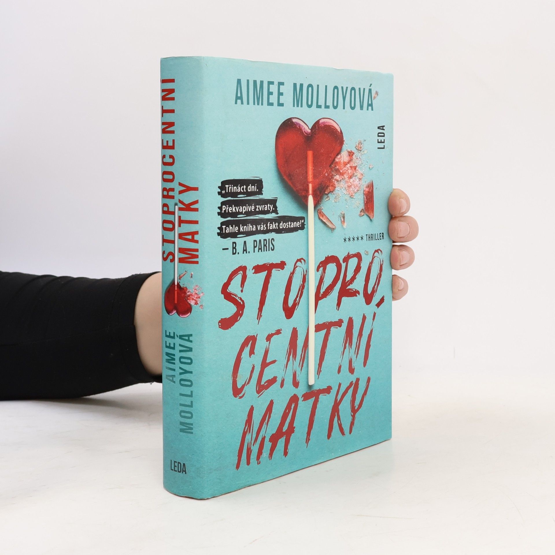 Aimee Molloy Stoprocentní matky