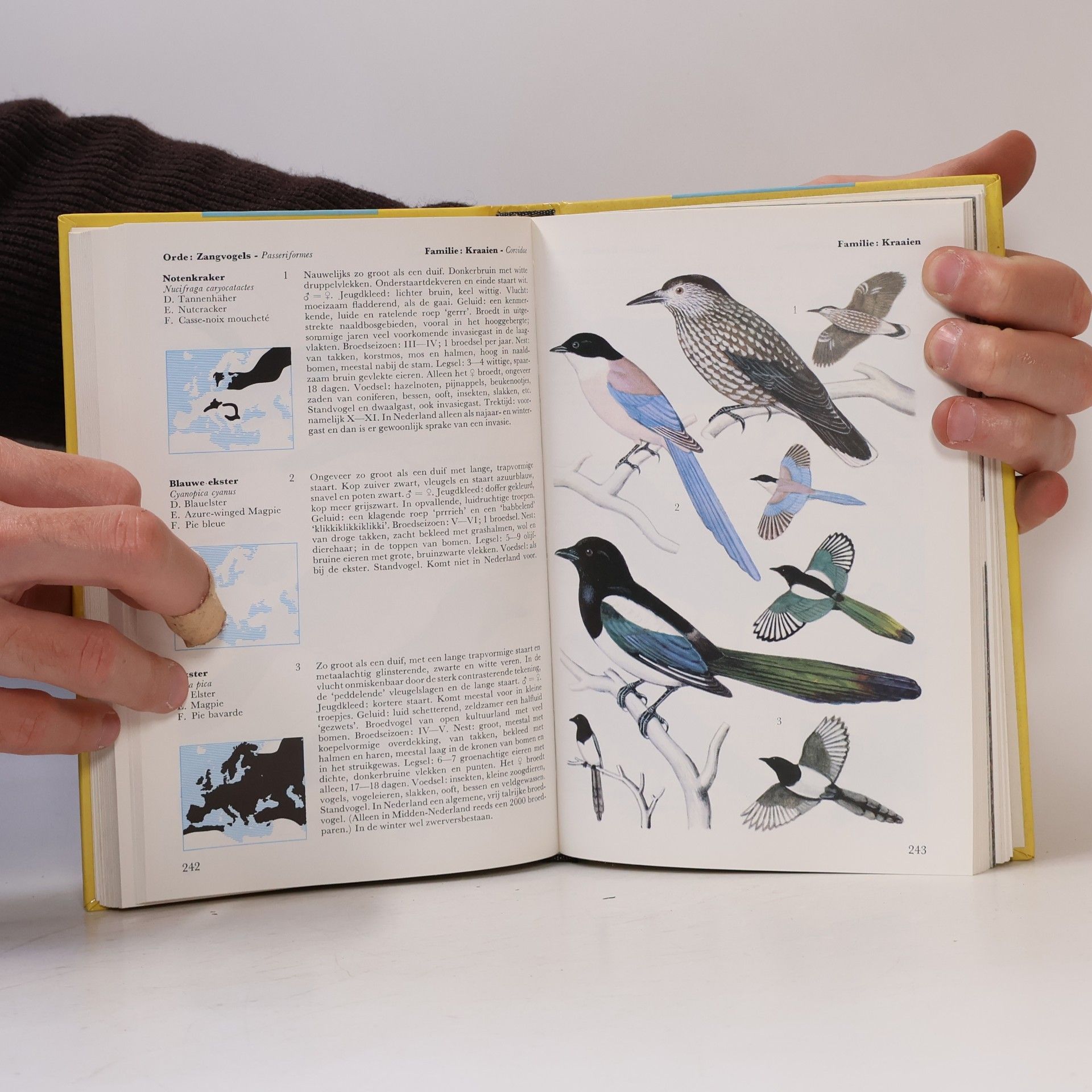 Walter Černý Welke vogel is dat?