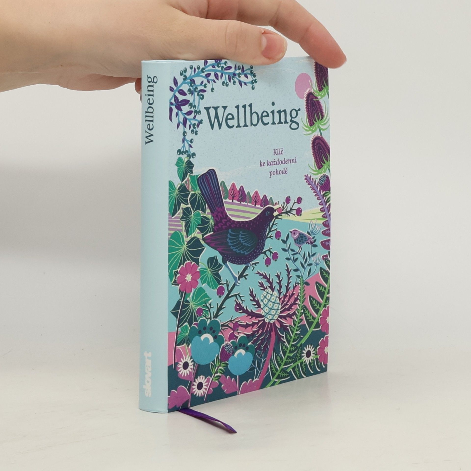 Sasha Morton Wellbeing - Klíč ke každodenní pohodě