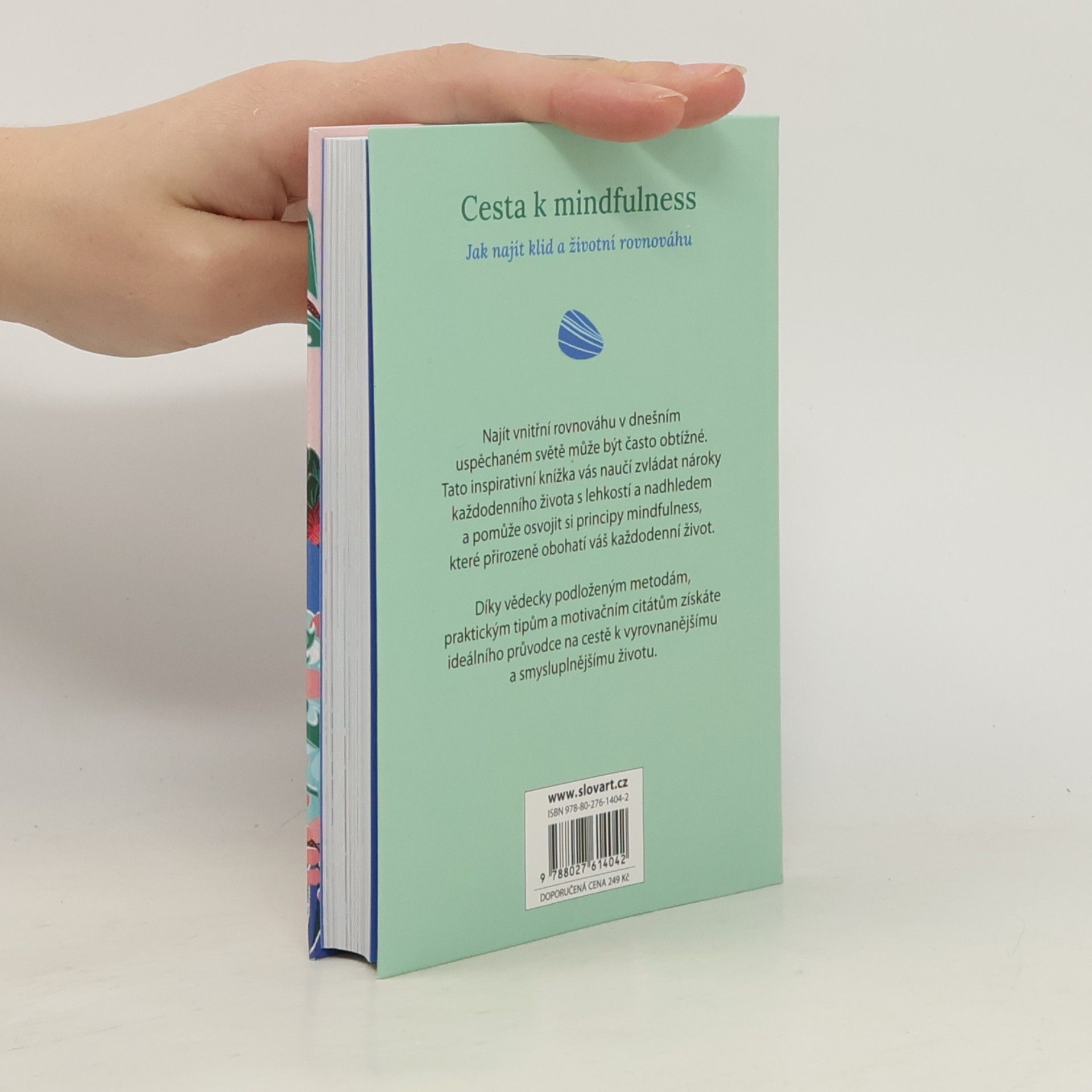 Rebecca Dickinson Cesta k mindfulness: Jak najít klid a životní rovnováhu