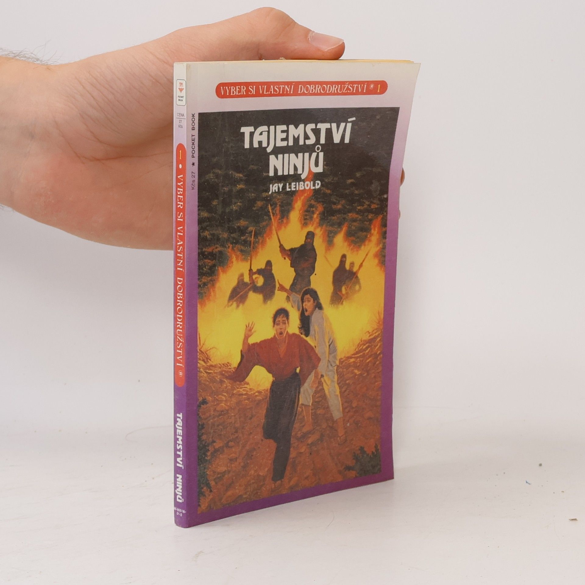 Jay Leibold Tajemství ninjů
