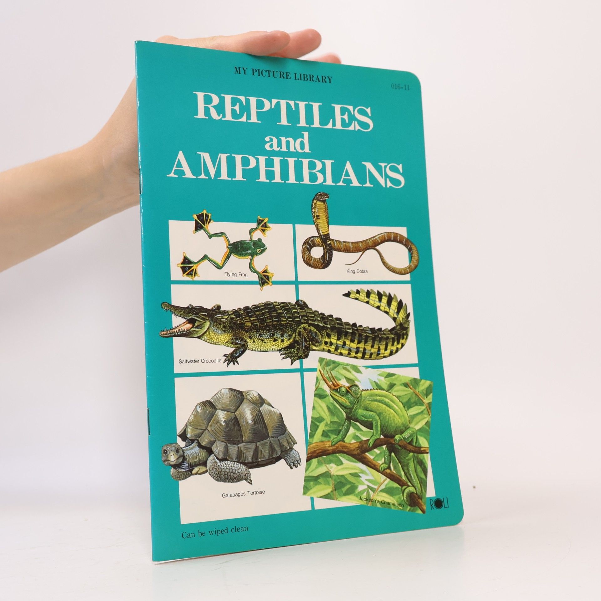 Collectif d'auteurs Reptiles and Amphibians