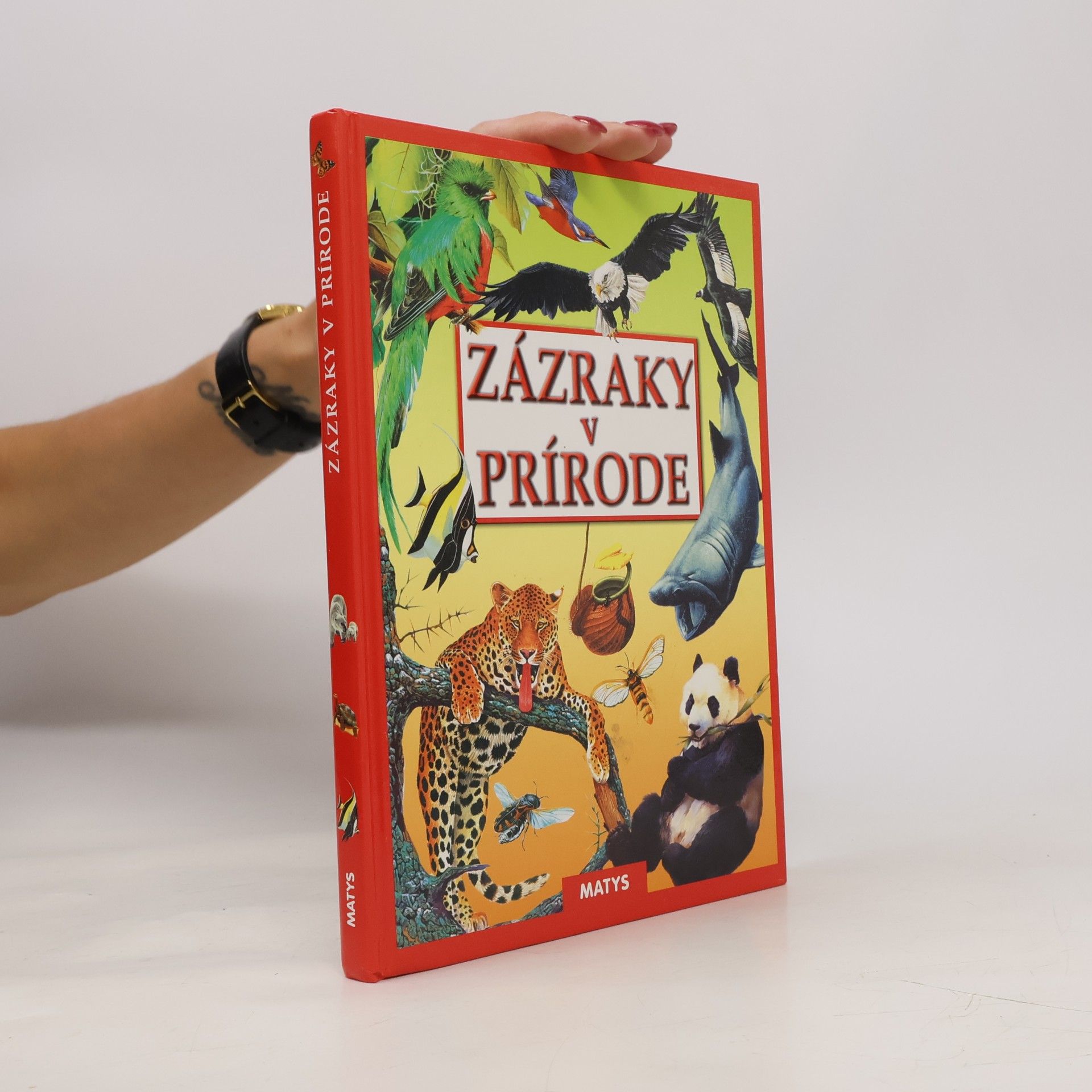Autorenkollektiv Zázraky v prírode