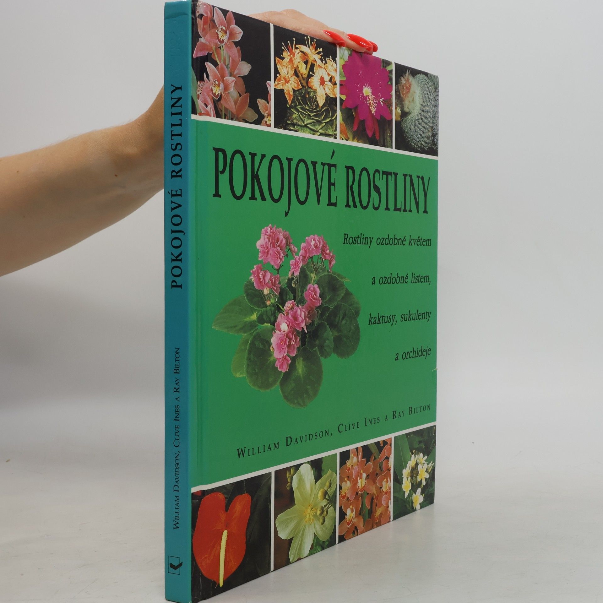 Ray Bilton Pokojové rostliny: Rostliny ozdobné květem a ozdobné listem, kaktusy, sukulenty a orchideje