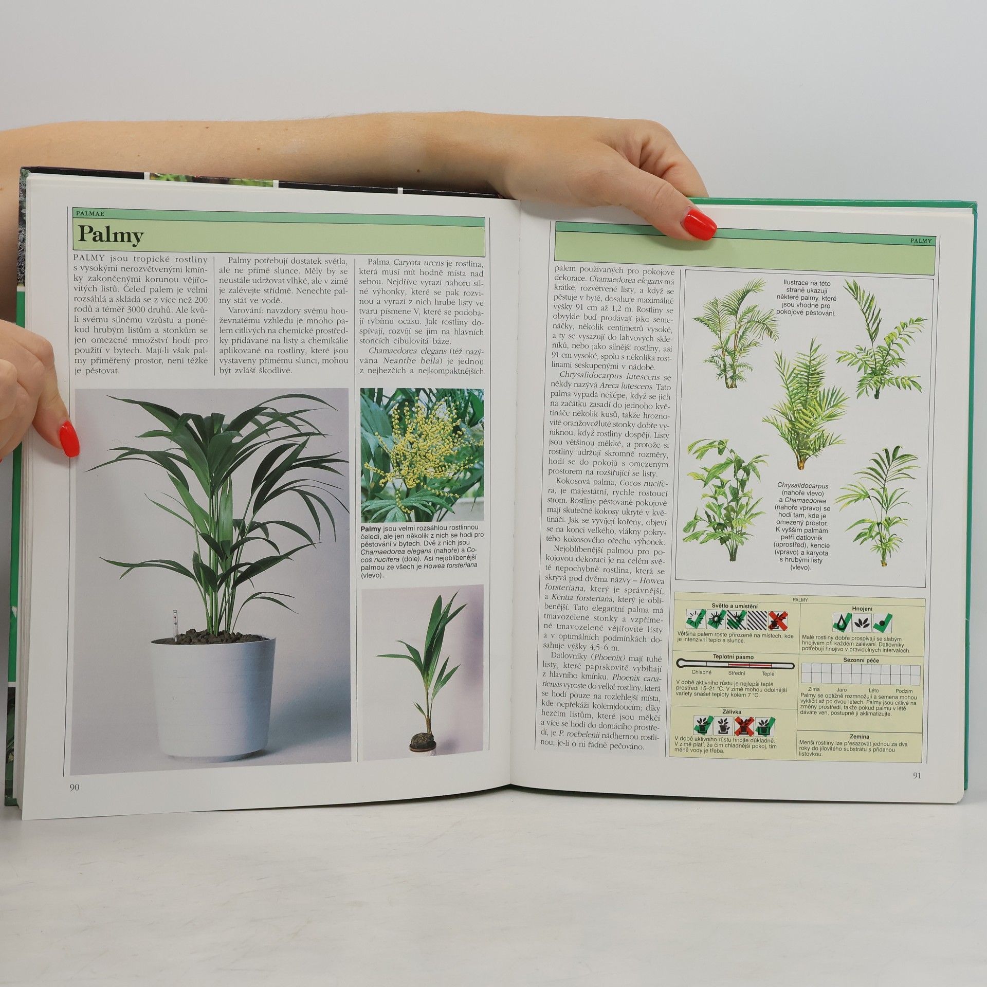 William Davidson Pokojové rostliny: Rostliny ozdobné květem a ozdobné listem, kaktusy, sukulenty a orchideje
