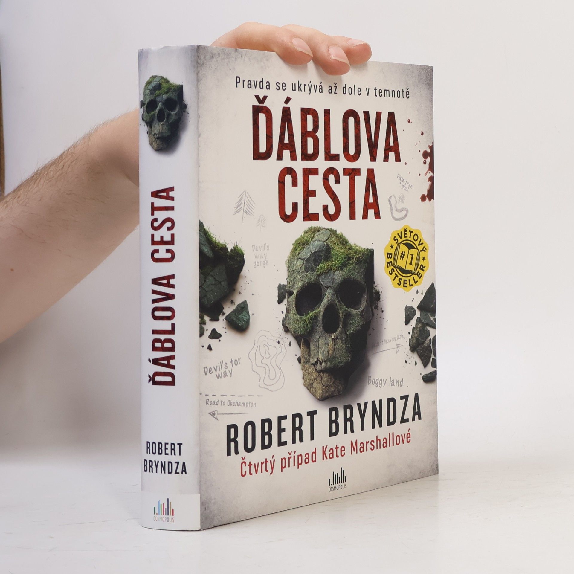 Robert Bryndza Ďáblova cesta