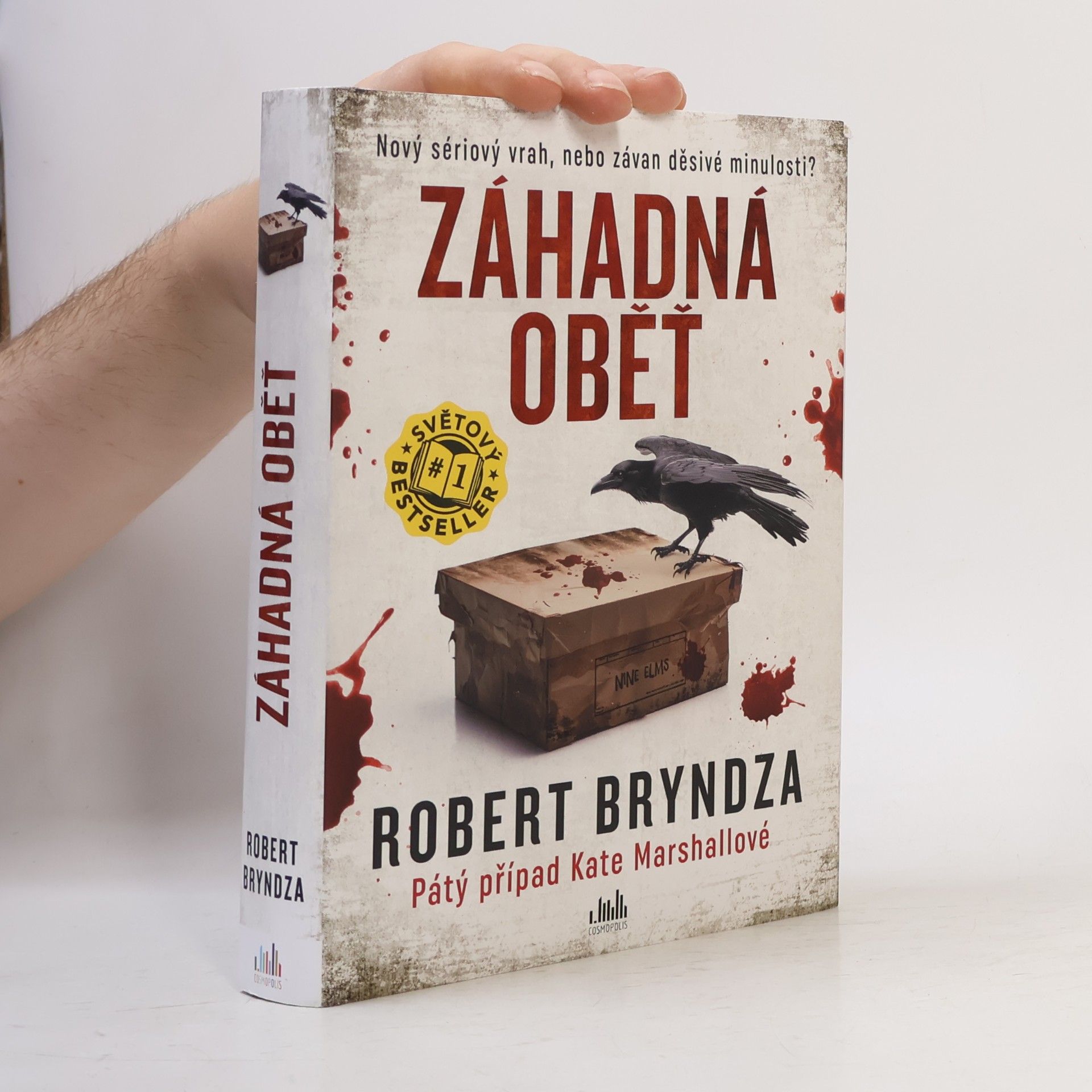 Robert Bryndza Záhadná oběť