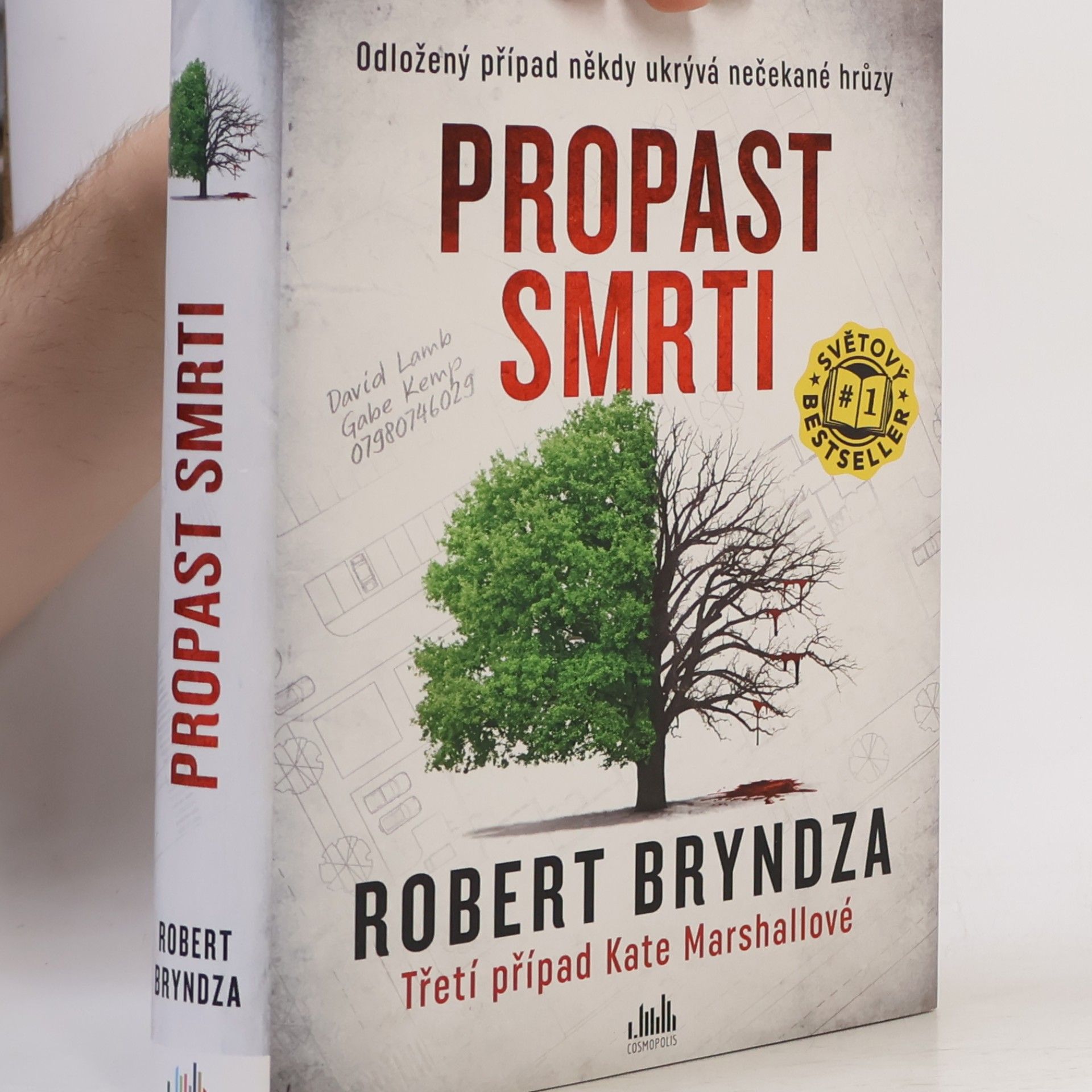 Robert Bryndza Propast smrti
