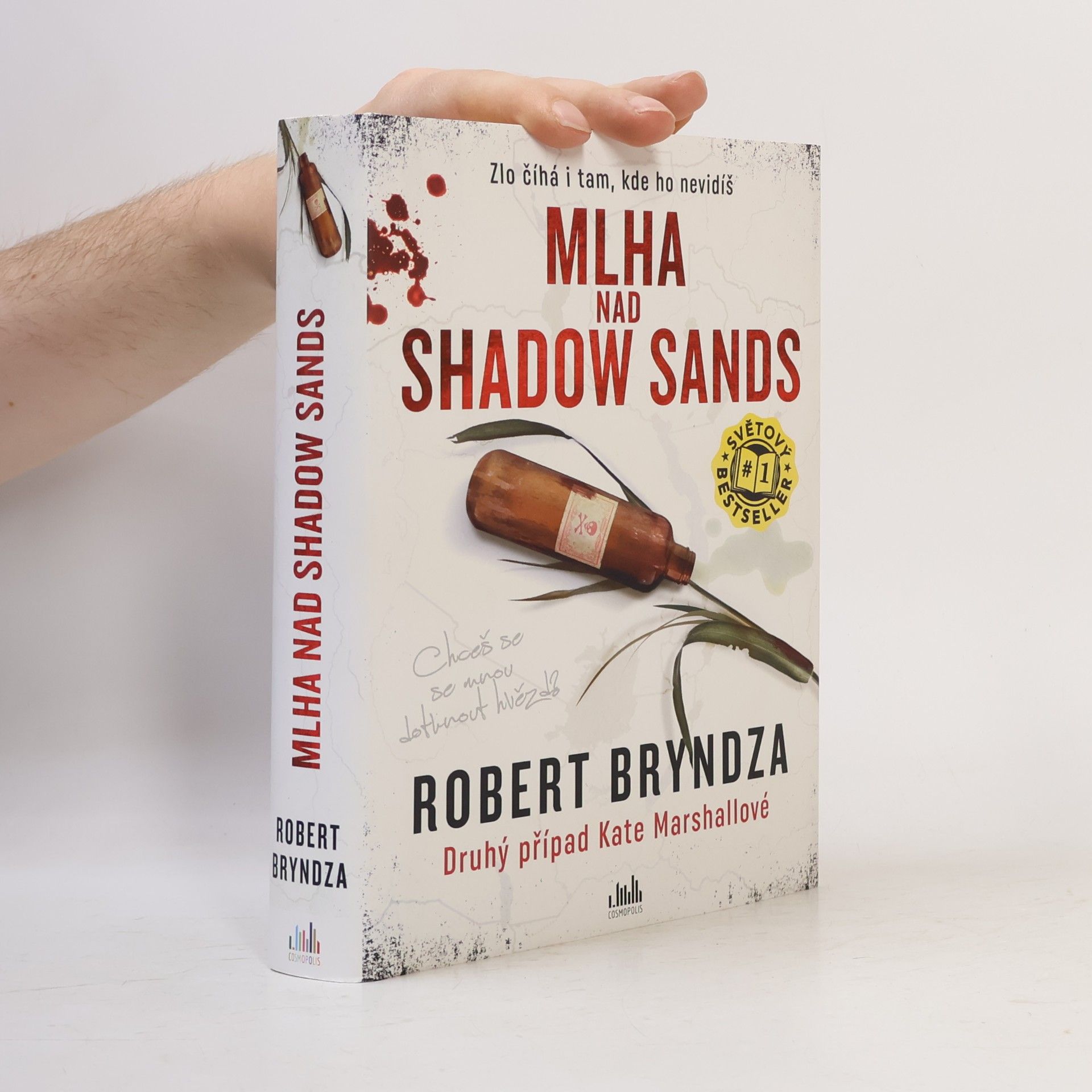 Robert Bryndza Mlha nad Shadow Sands