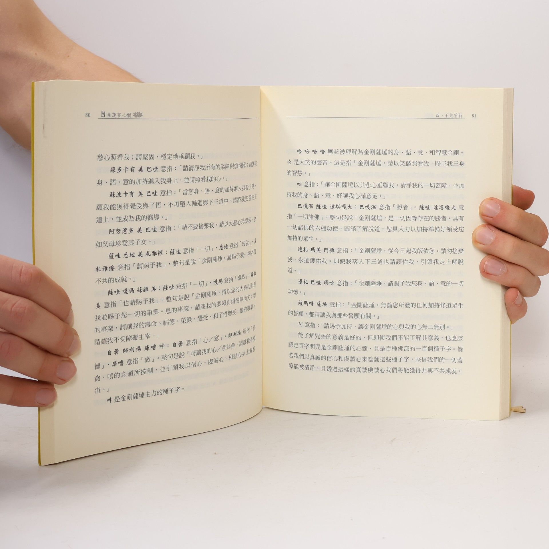 頂果欽哲法王 明示其深道 09