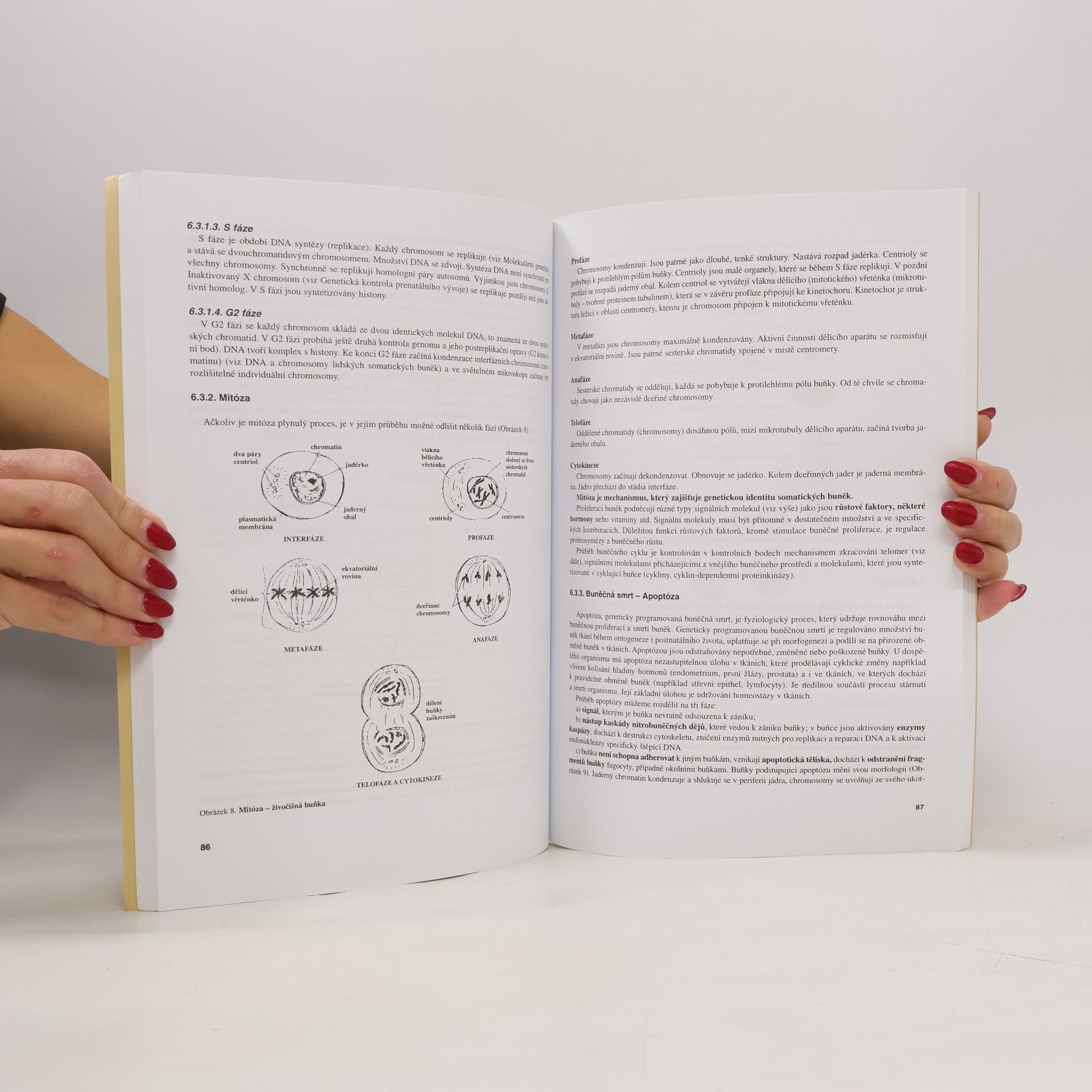 Berta Otová I. Základy biologie a genetiky. II. Vývoj a růst člověka. (1 svazek)