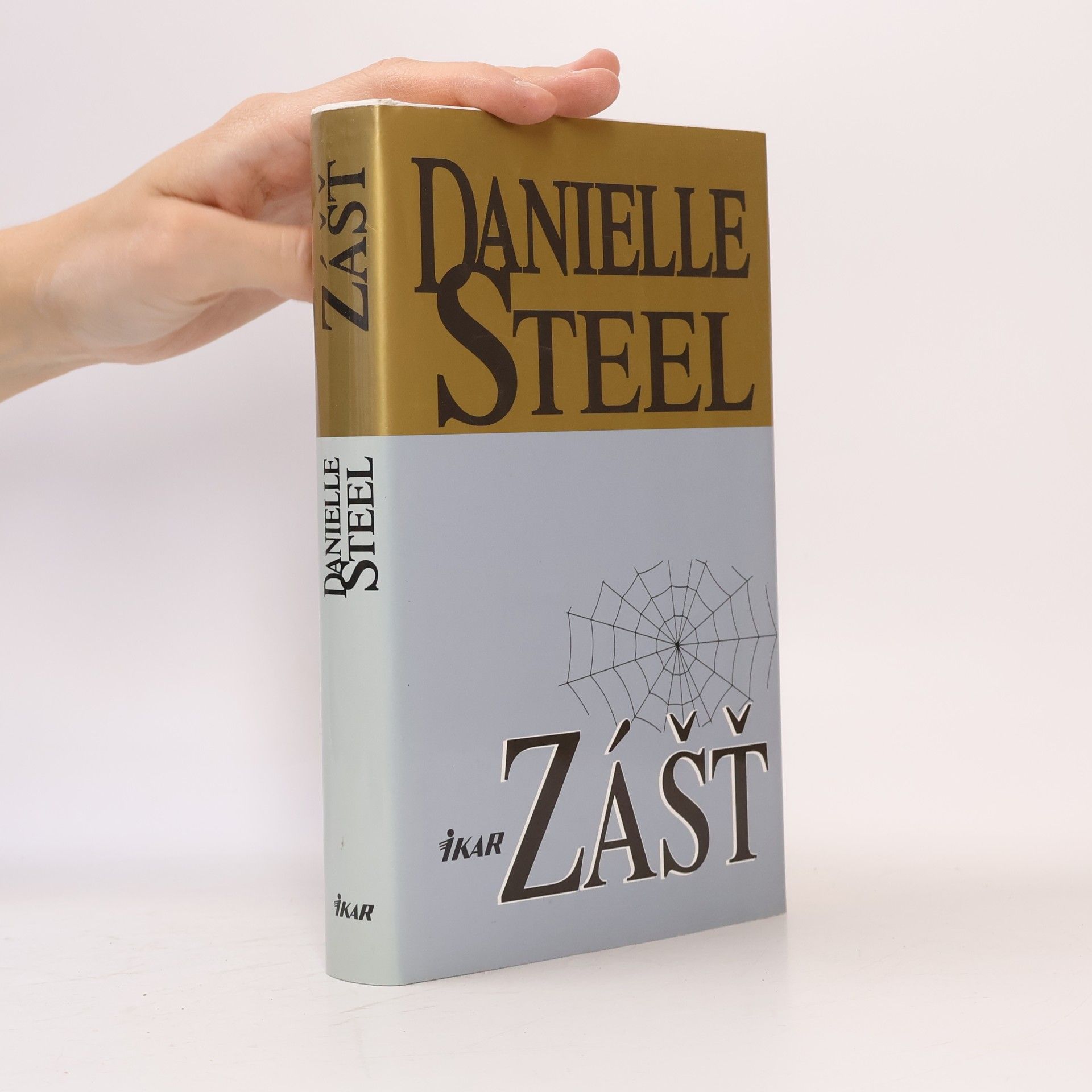 Danielle Steel Zášť