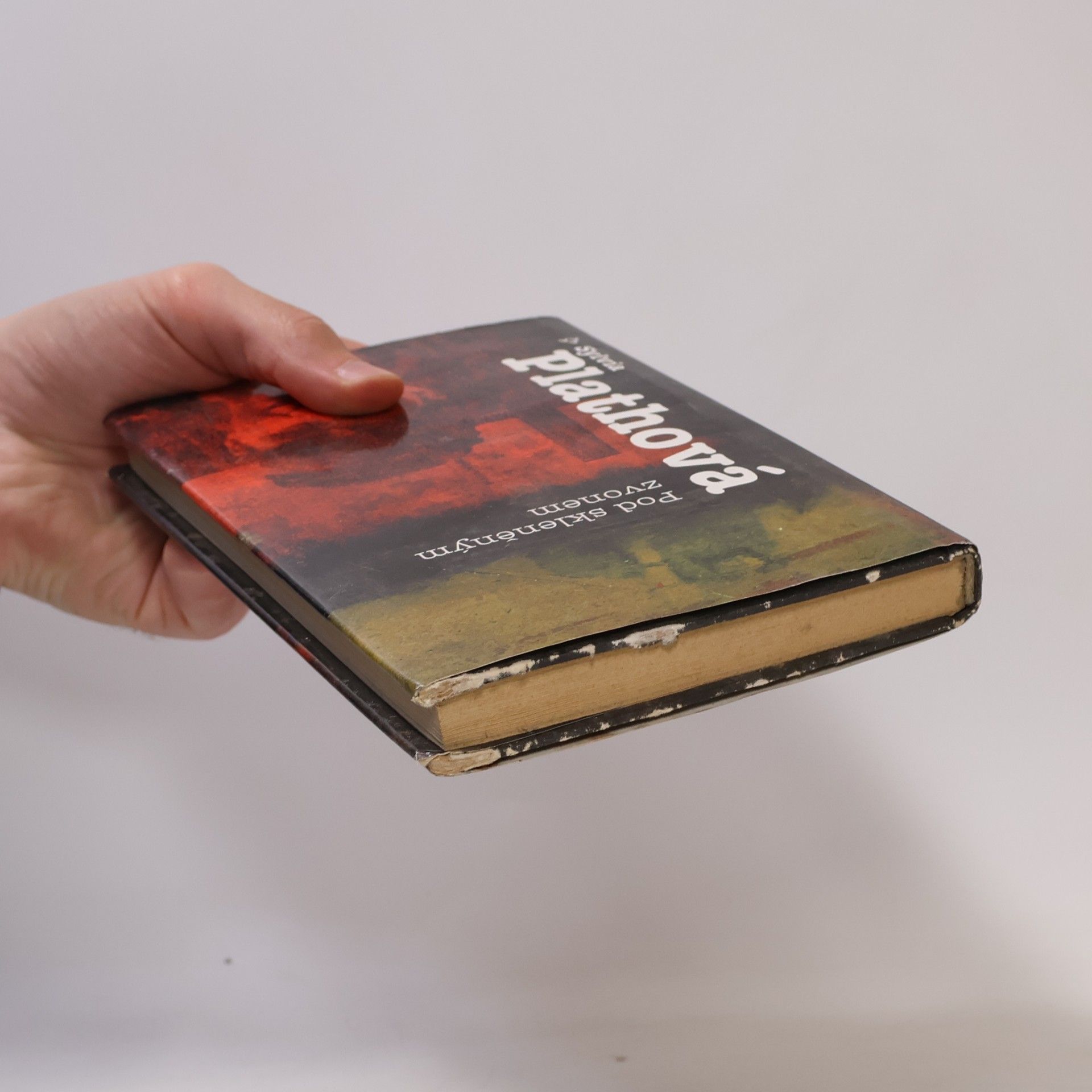 Sylvia Plath Pod skleněným zvonem
