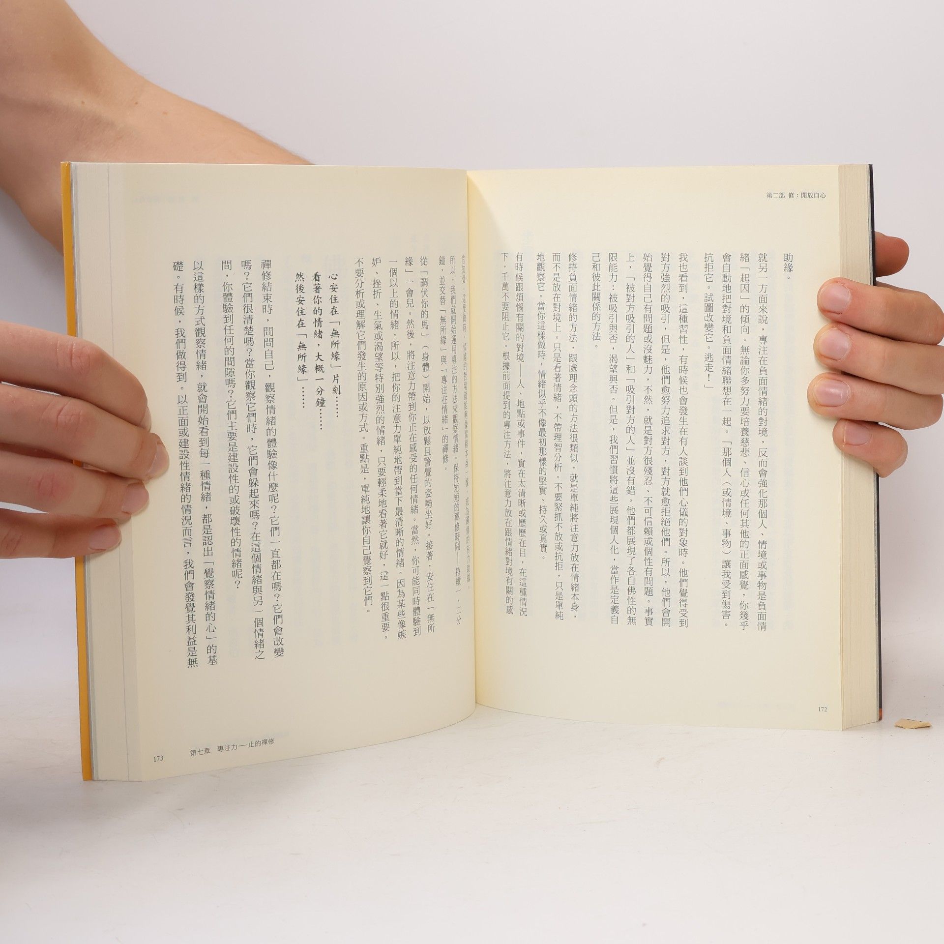 詠給·明就仁波切 禪修指引: 你是幸運的