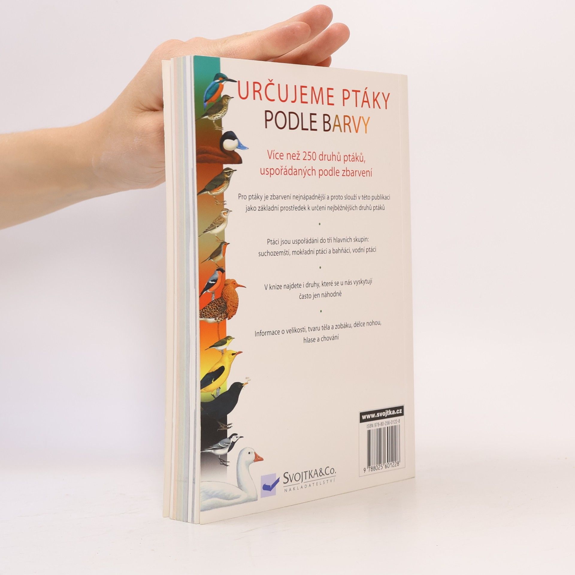 Moss Taylor Určujeme ptáky podle barvy