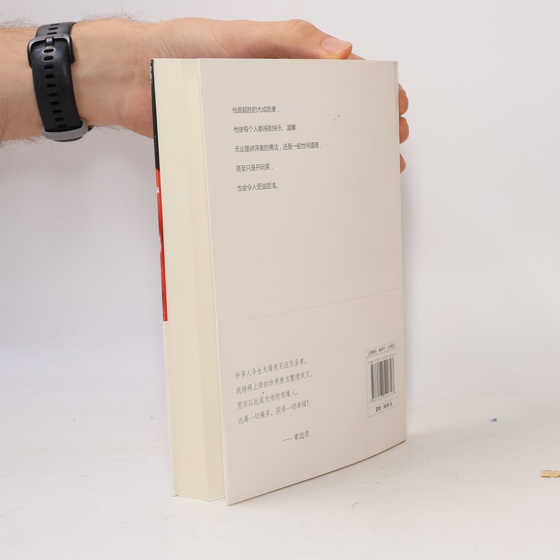 晋美彭措 不离：上师人生开示录