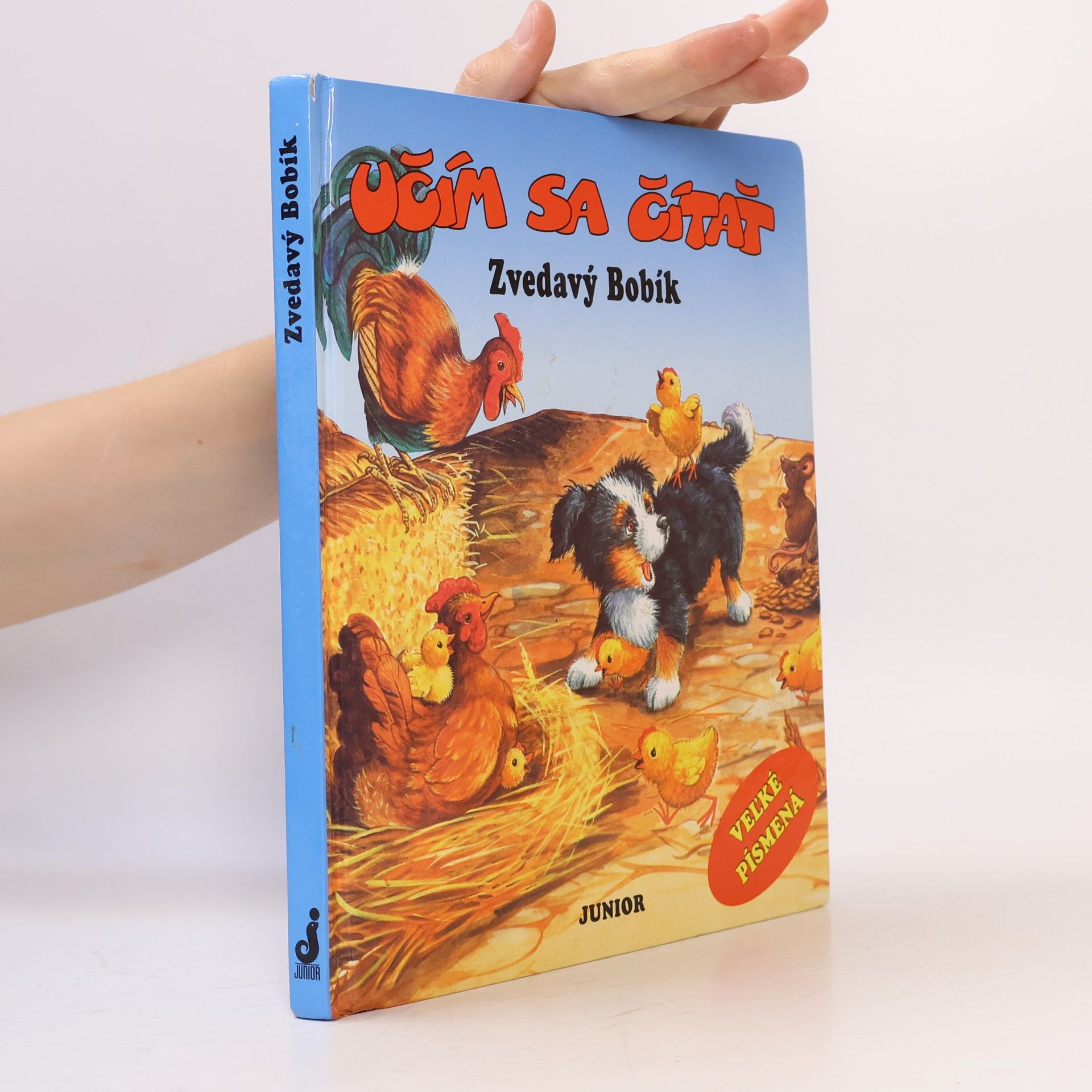 Kolektiv autorů Zvedavý Bobík
