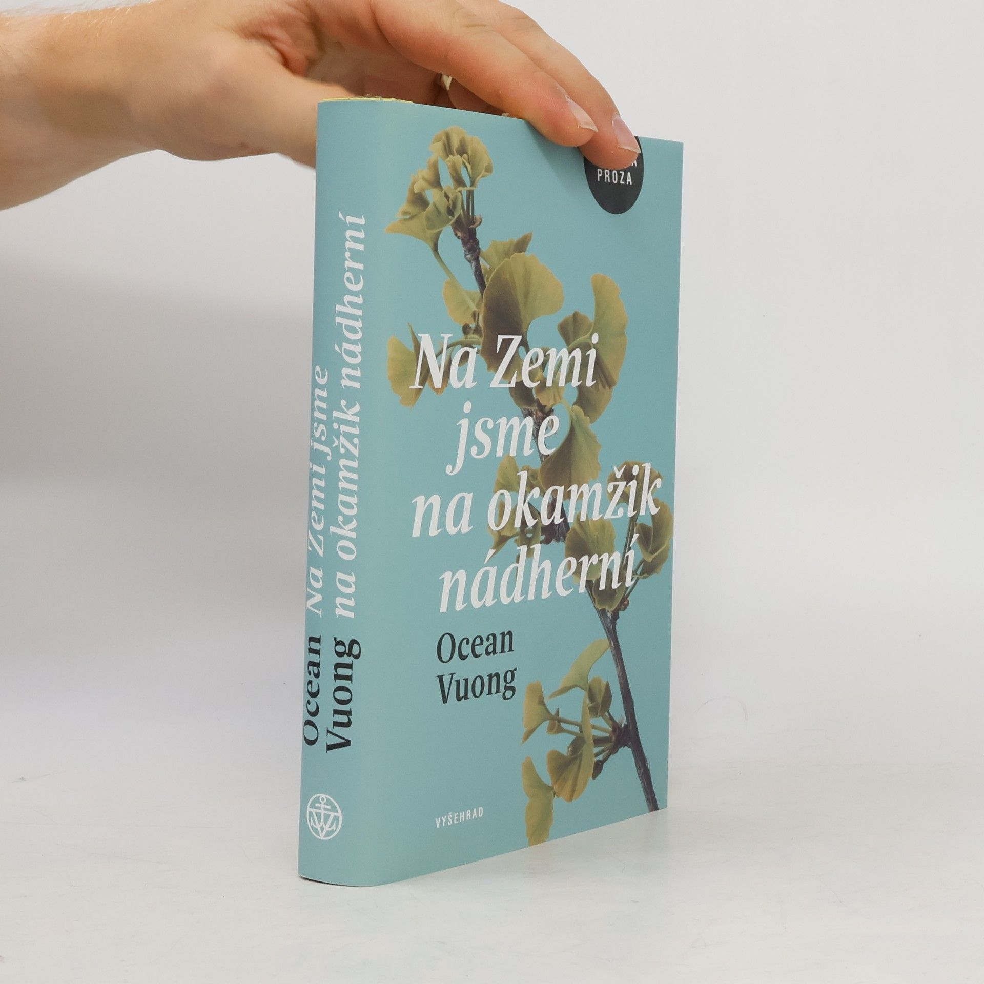 Ocean Vuong Na Zemi jsme na okamžik nádherní