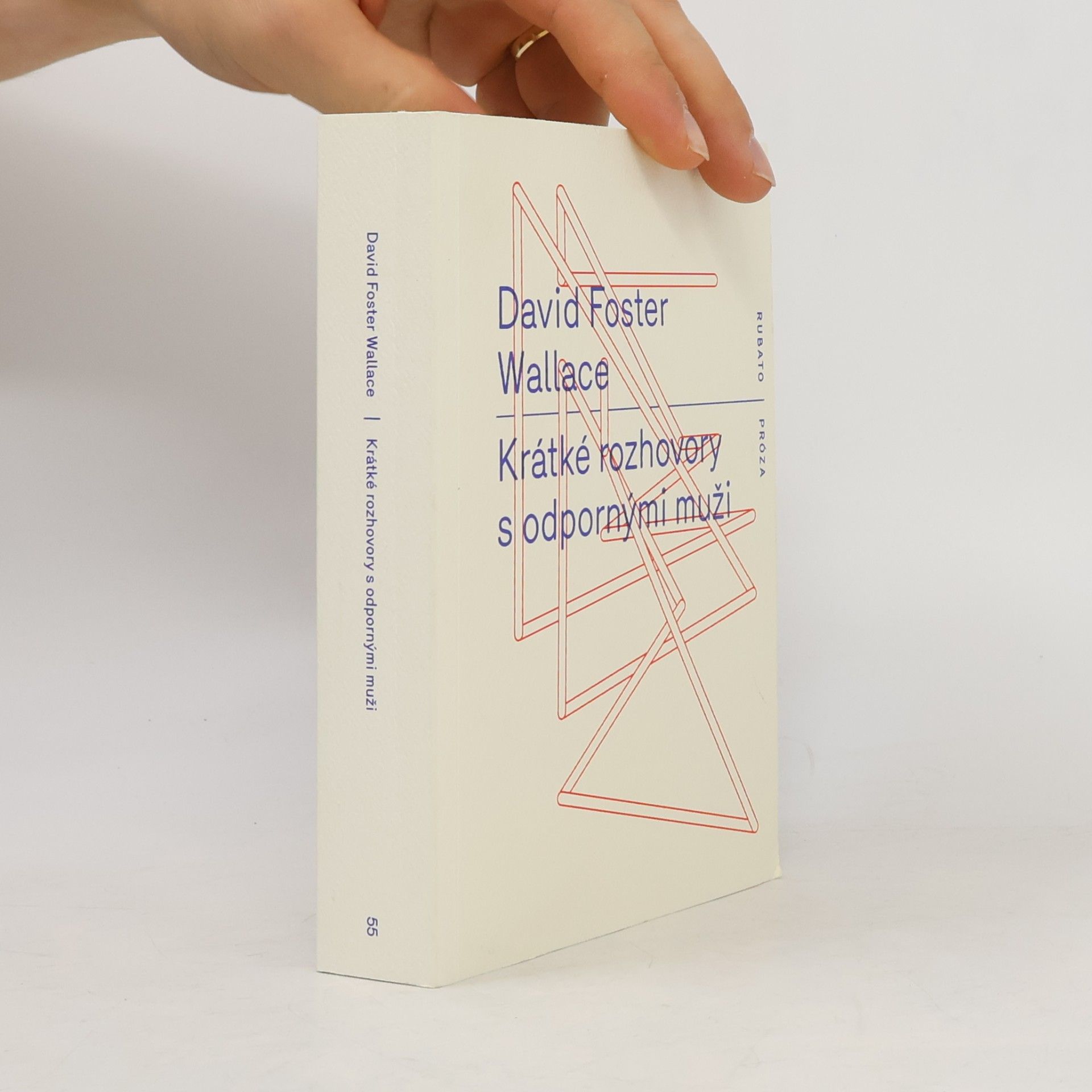 David Foster Wallace Krátké rozhovory s odpornými muži