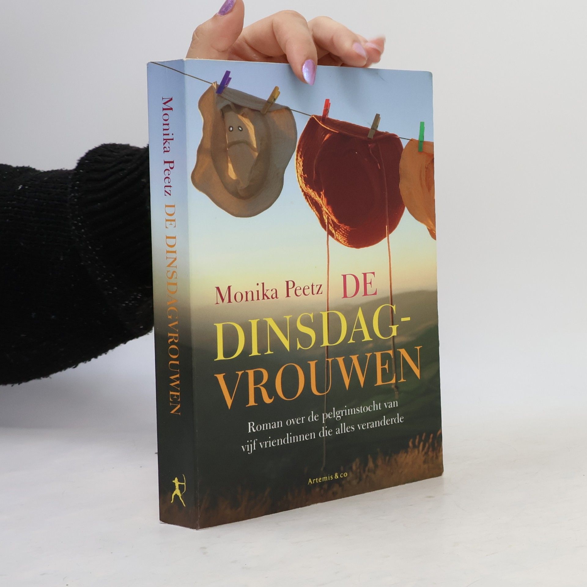 Monika Peetz De dinsdagvrouwen