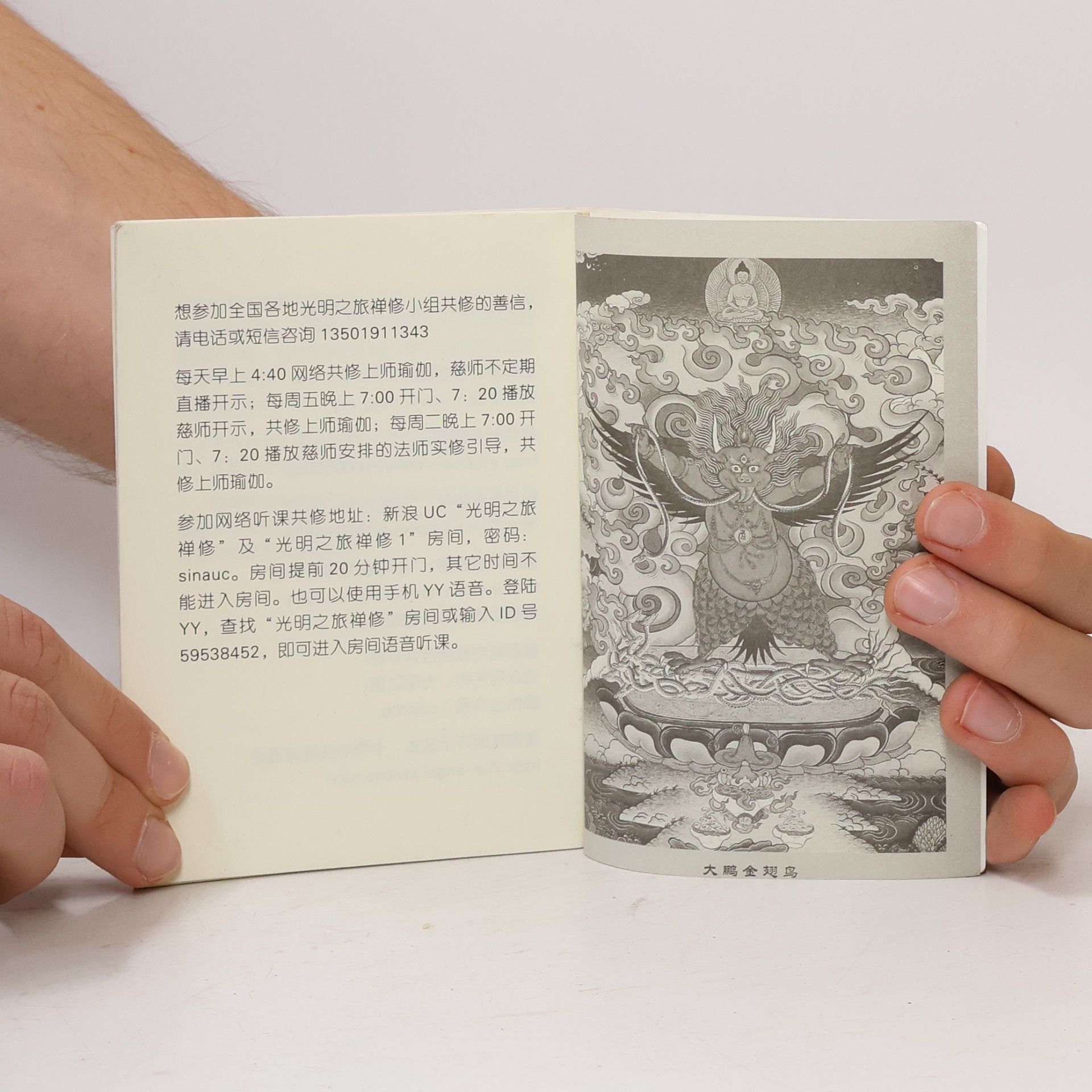 Various authors 如来芽慈心之光