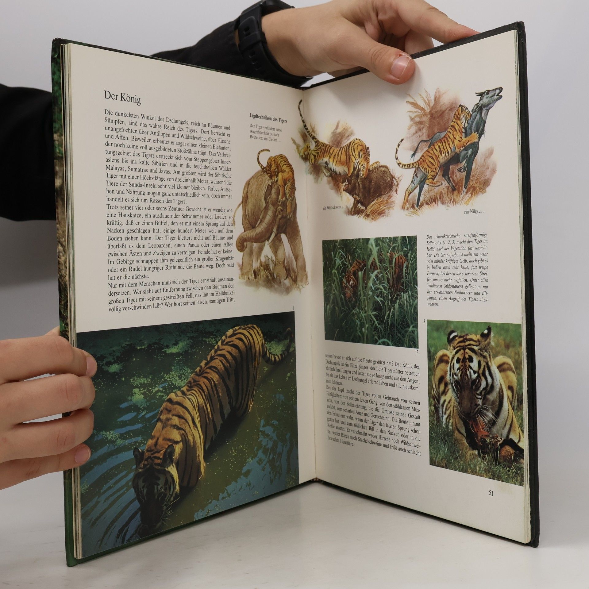 Maria Pia Minelli Der Tiger und die Tierwelt Asiens