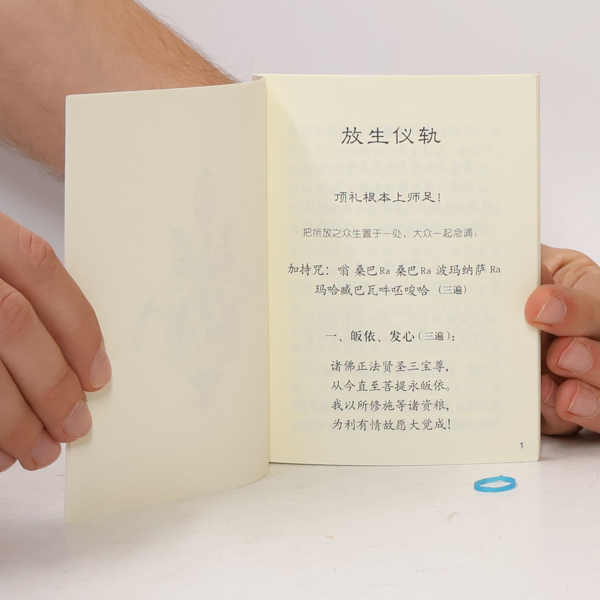 Various authors 如来芽慈心之光