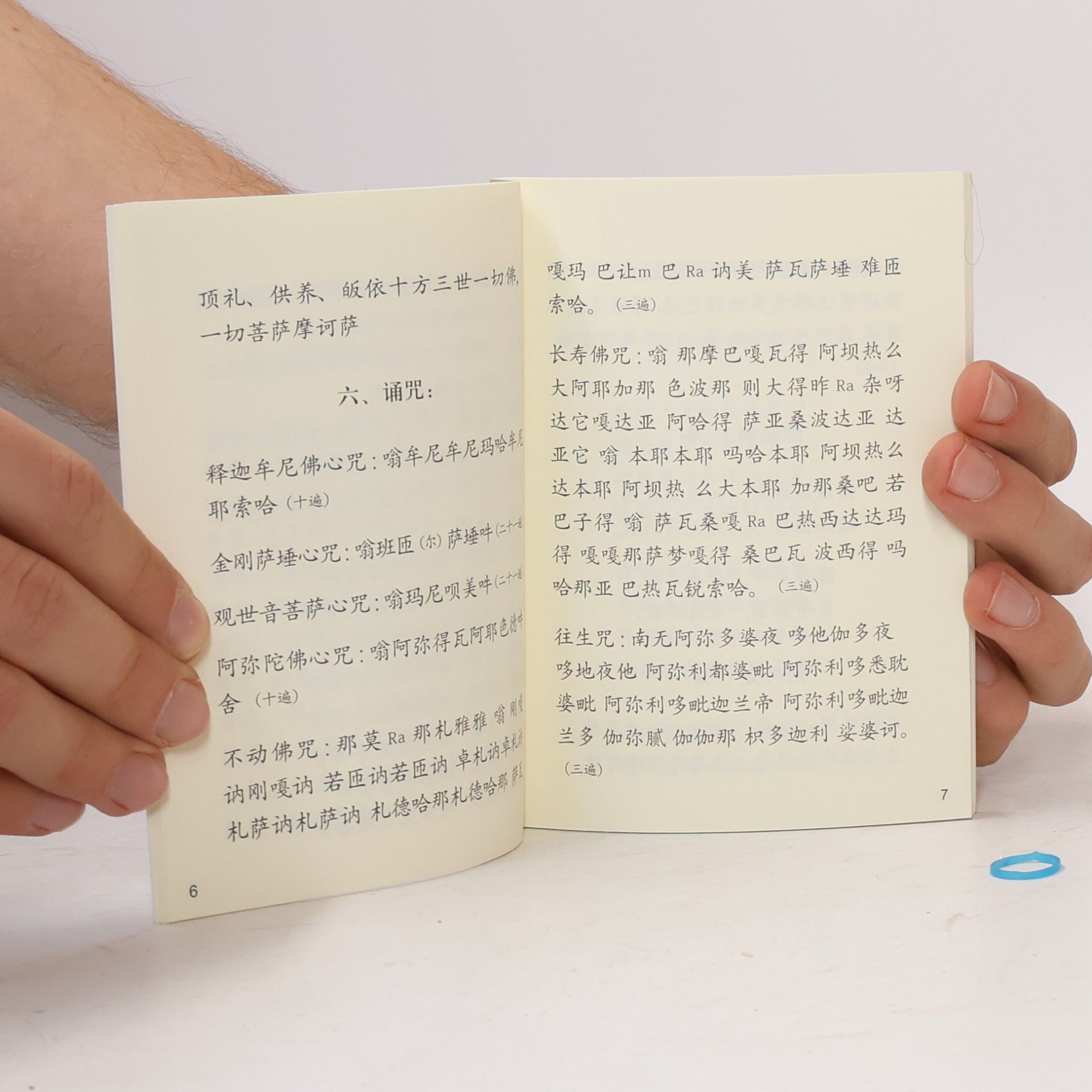 Various authors 如来芽慈心之光：