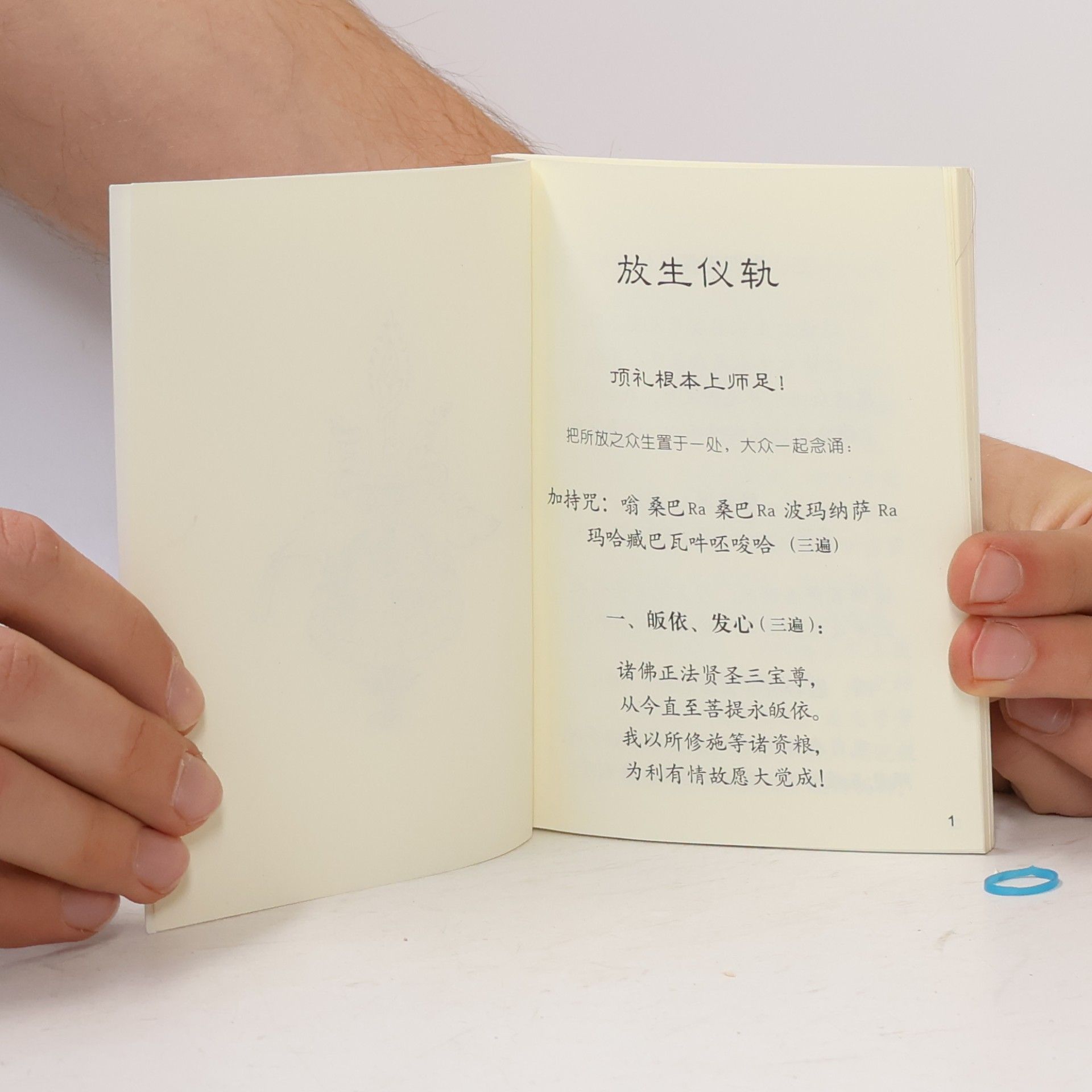 Various authors 如来芽慈心之光：