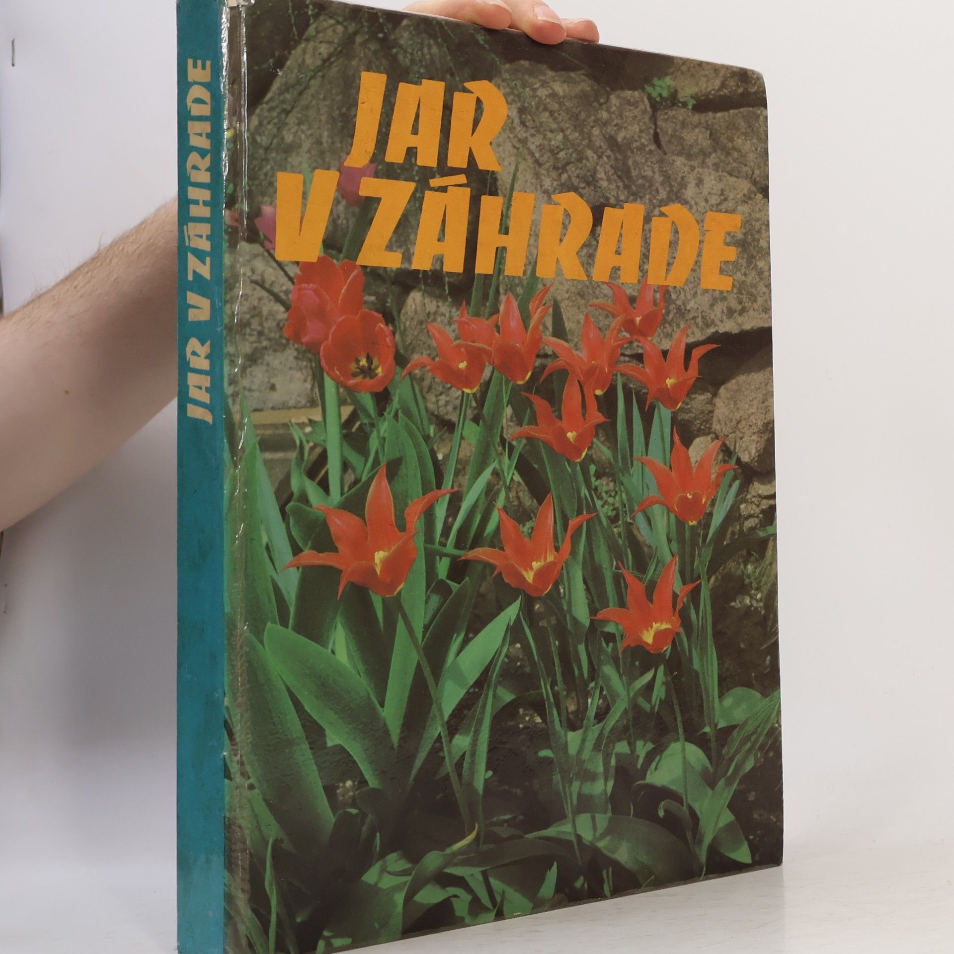 Autorenkollektiv Jar v záhrade