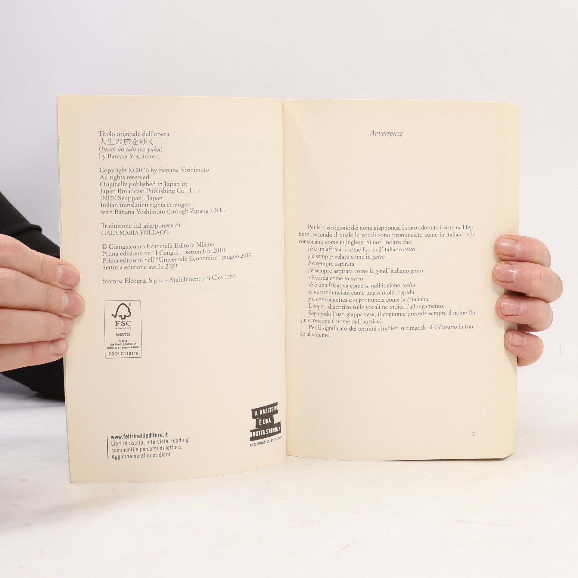Banana Yoshimoto Un viaggio chiamato vita