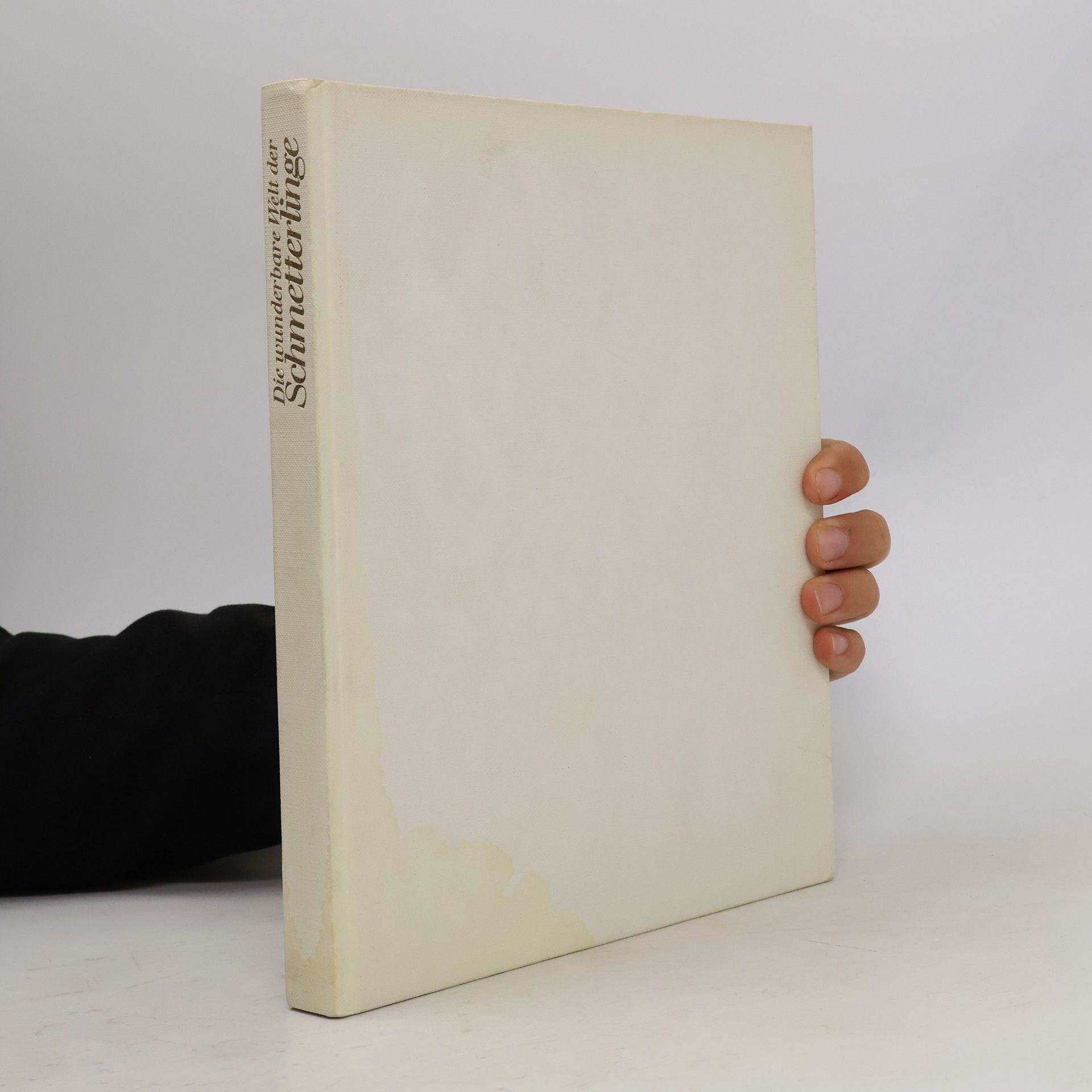Peter Aschner Die wunderbare Welt der Schmetterlinge