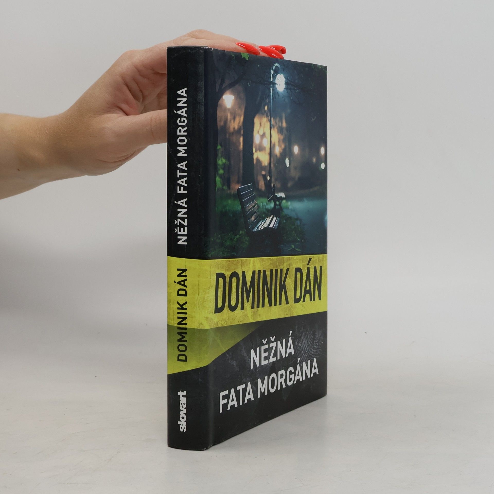Dominik Dán Něžná fata morgána