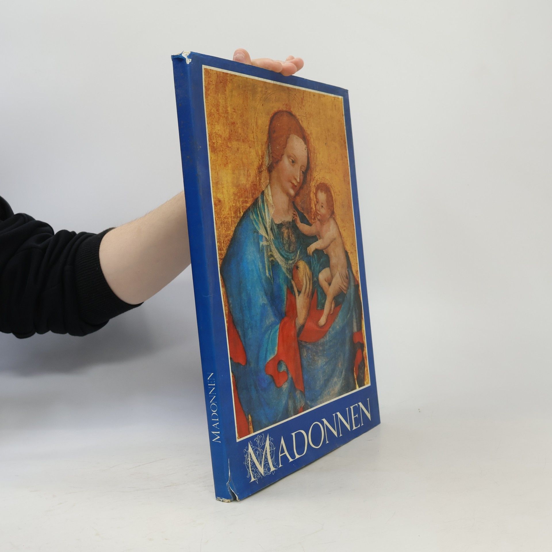 Autorenkollektiv Madonnen
