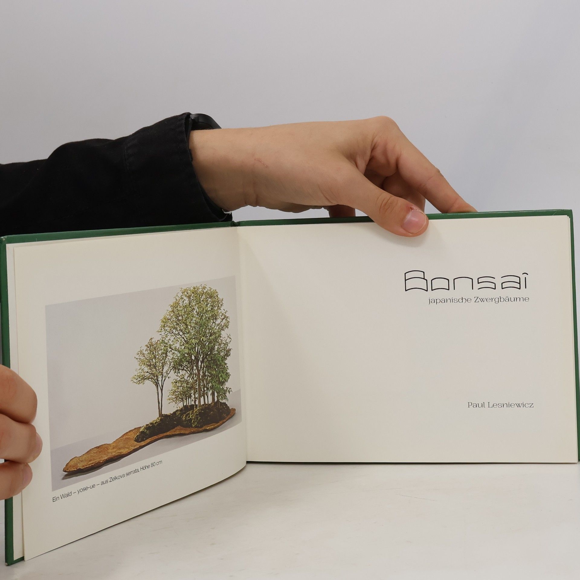 Ilona Lesniewicz Bonsai. Japanische Zwergbäume
