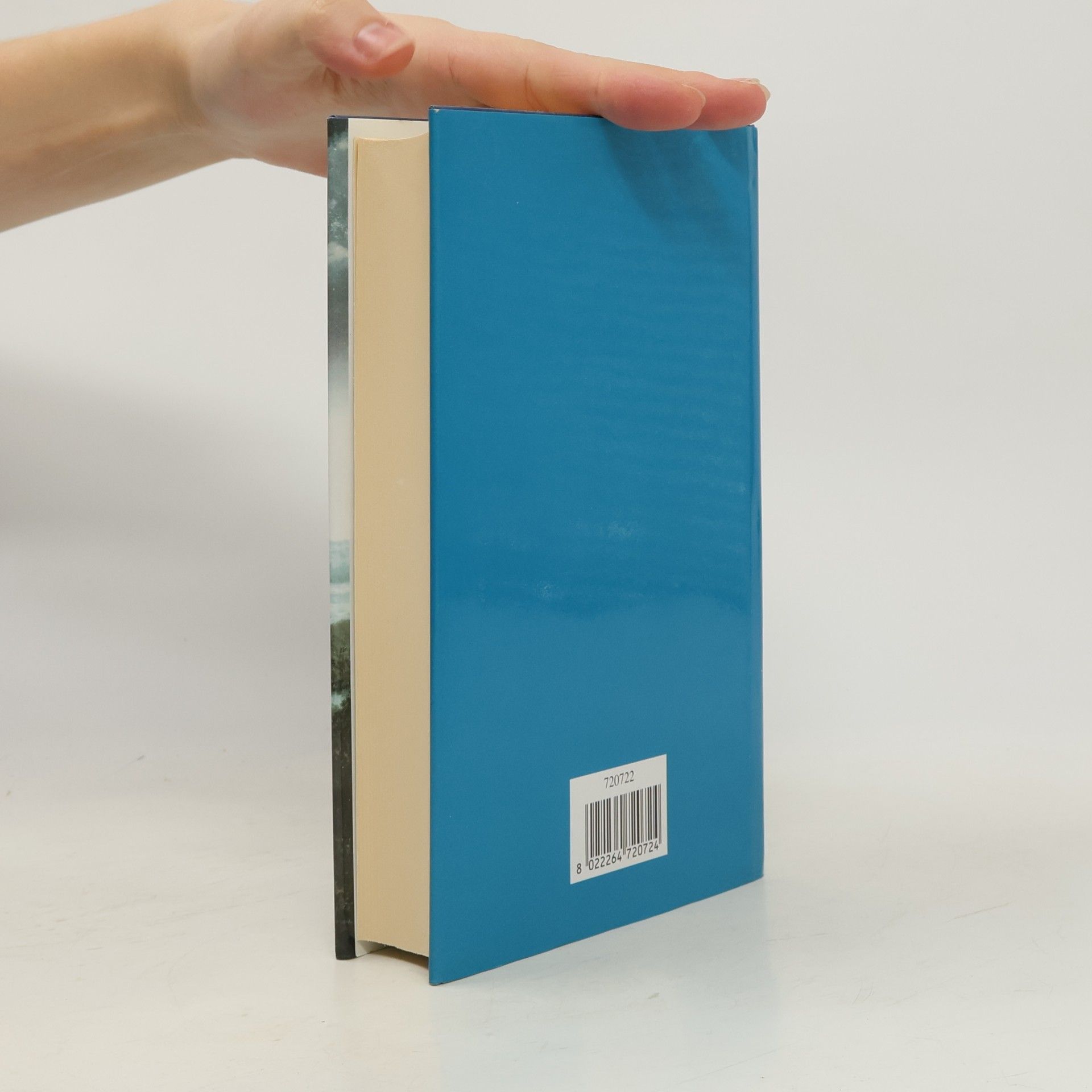Sally Beauman Il segreto di Rebecca