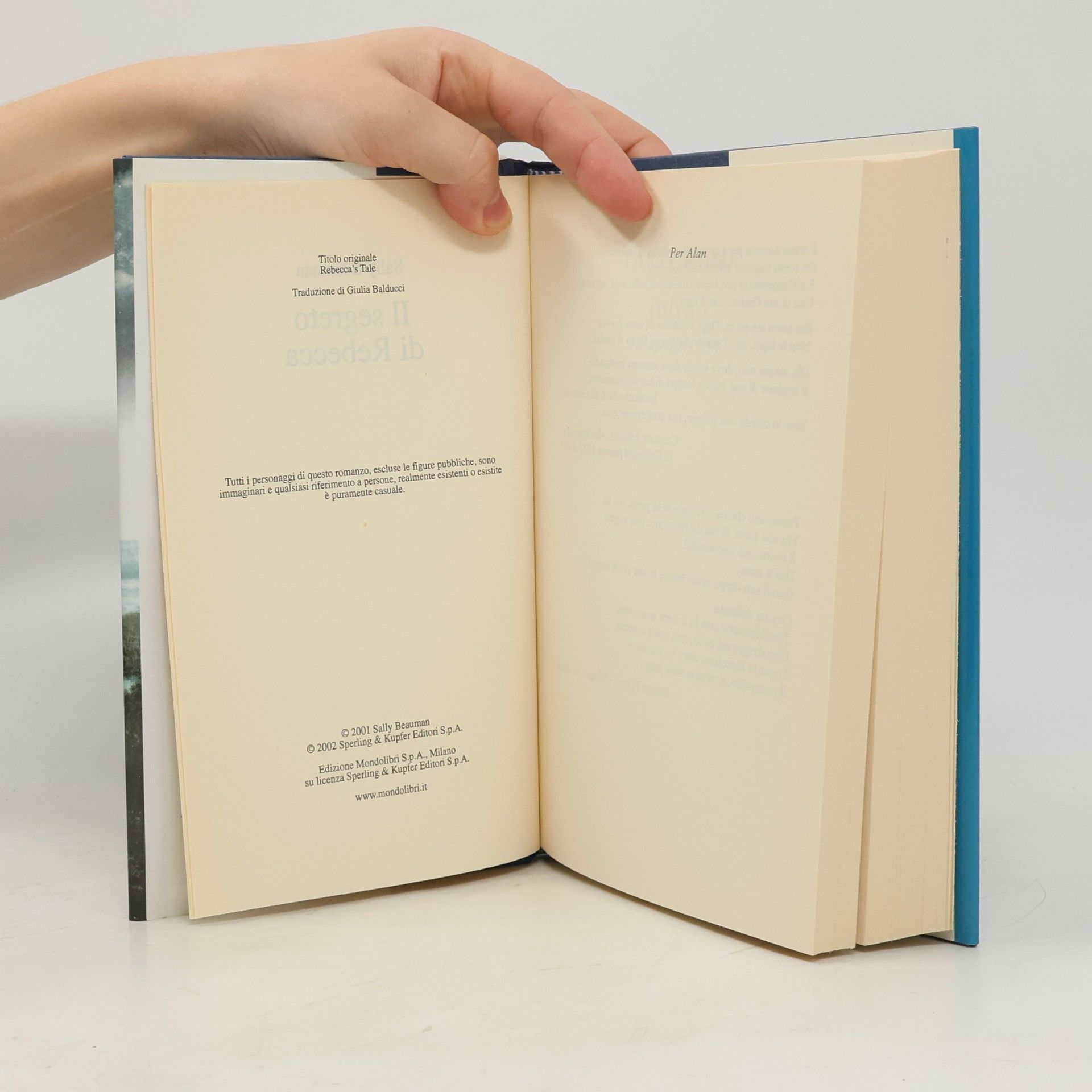 Sally Beauman Il segreto di Rebecca
