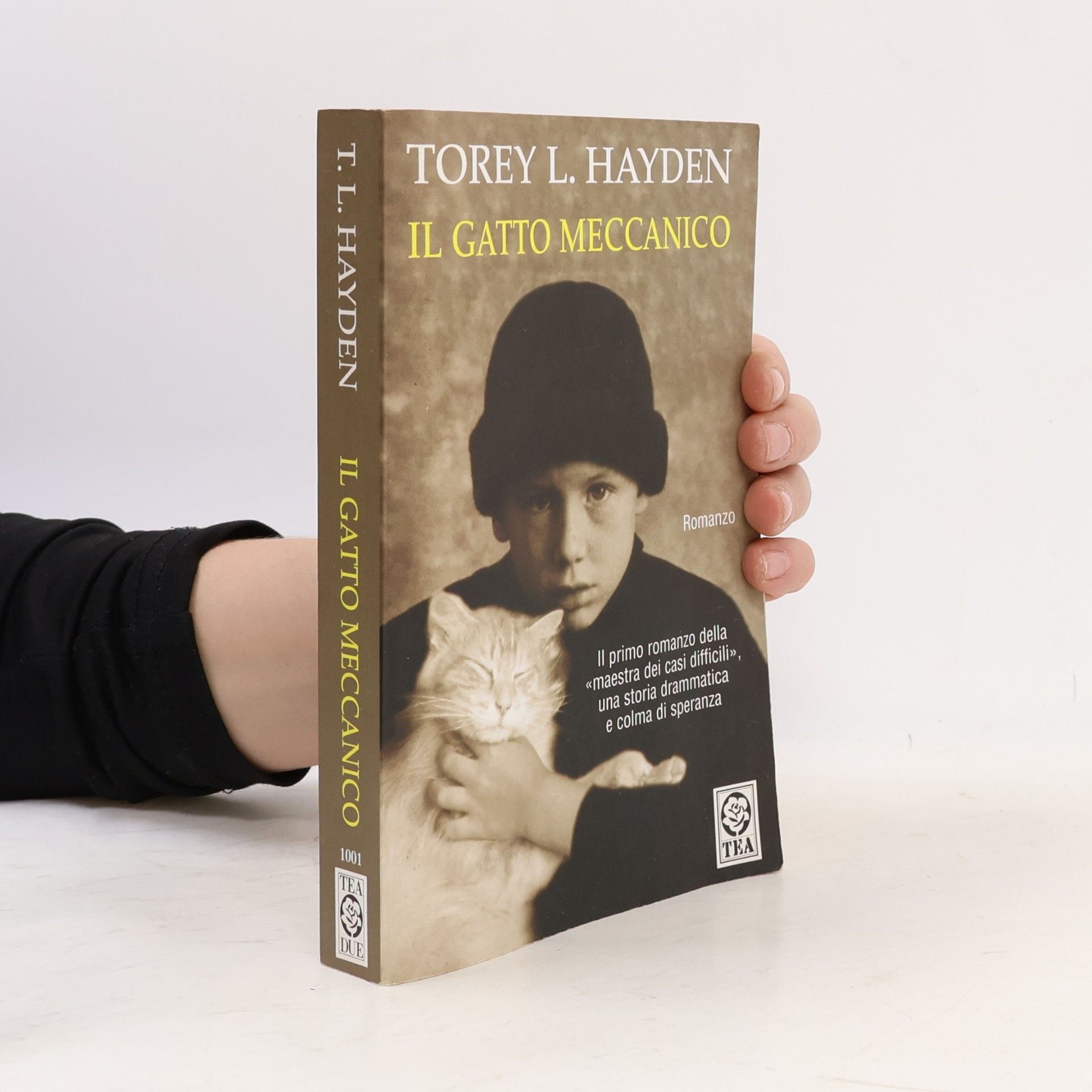 Torey L. Hayden Teadue: Il gatto meccanico