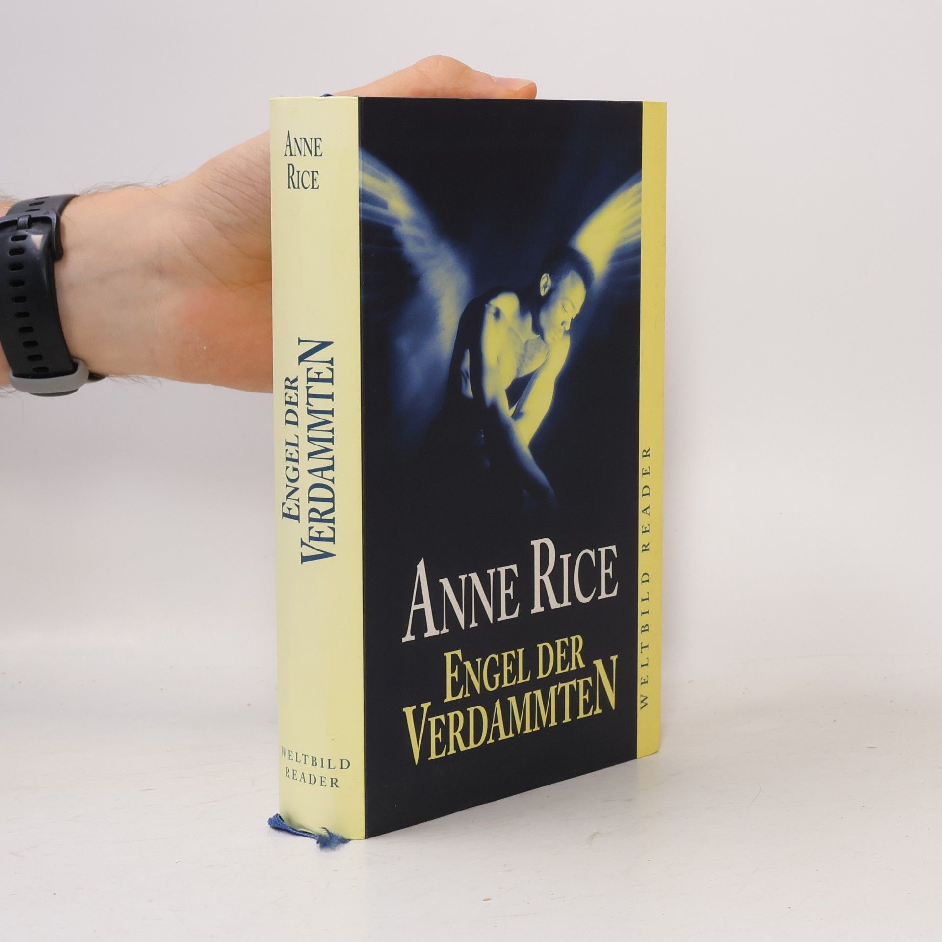 Anne Rice Engel der Verdammten