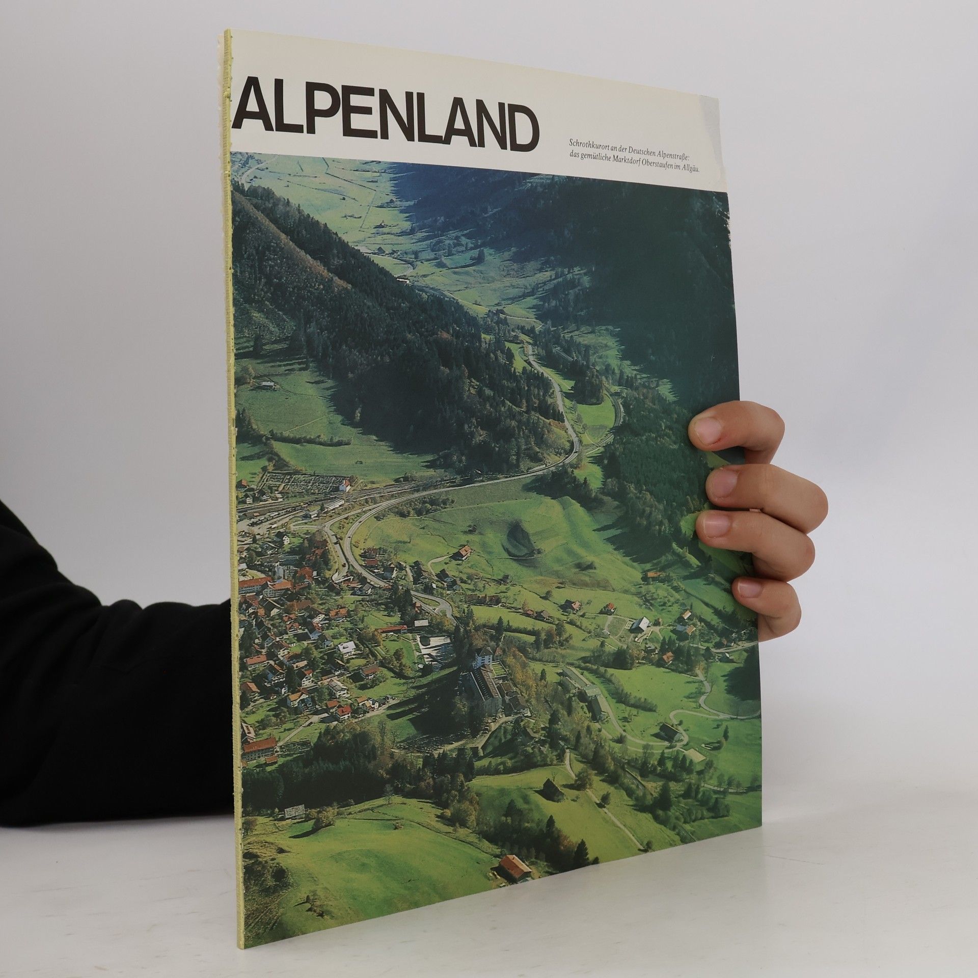 kolektiv Alpenland