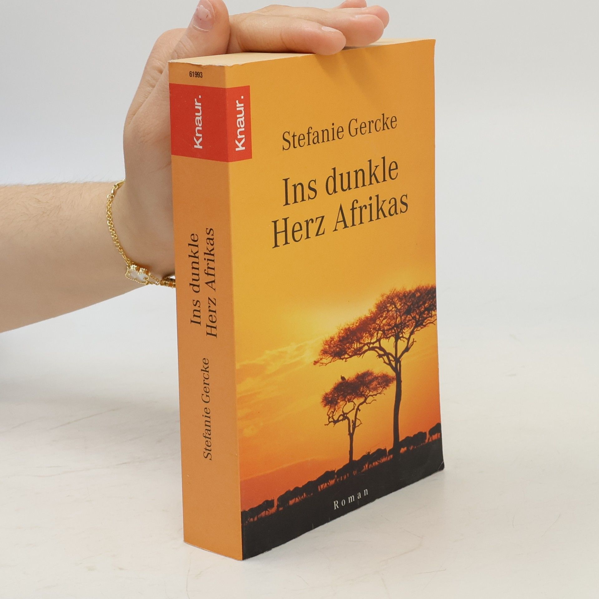 Stefanie Gercke Ins dunkle Herz Afrikas