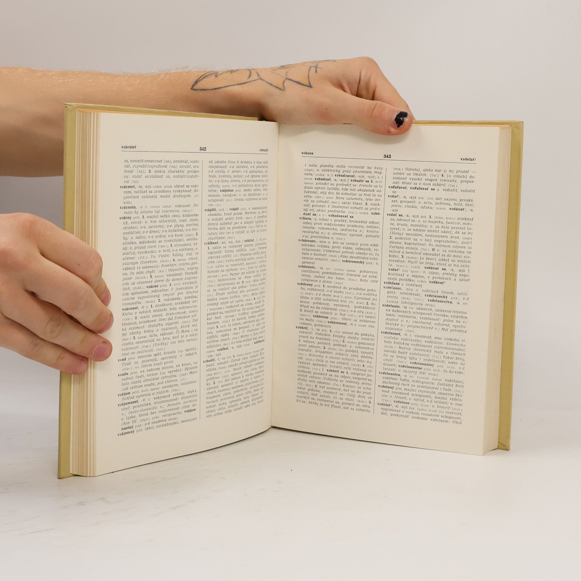 Autorenkollektiv Slovník slovenského jazyka V. V-Ž