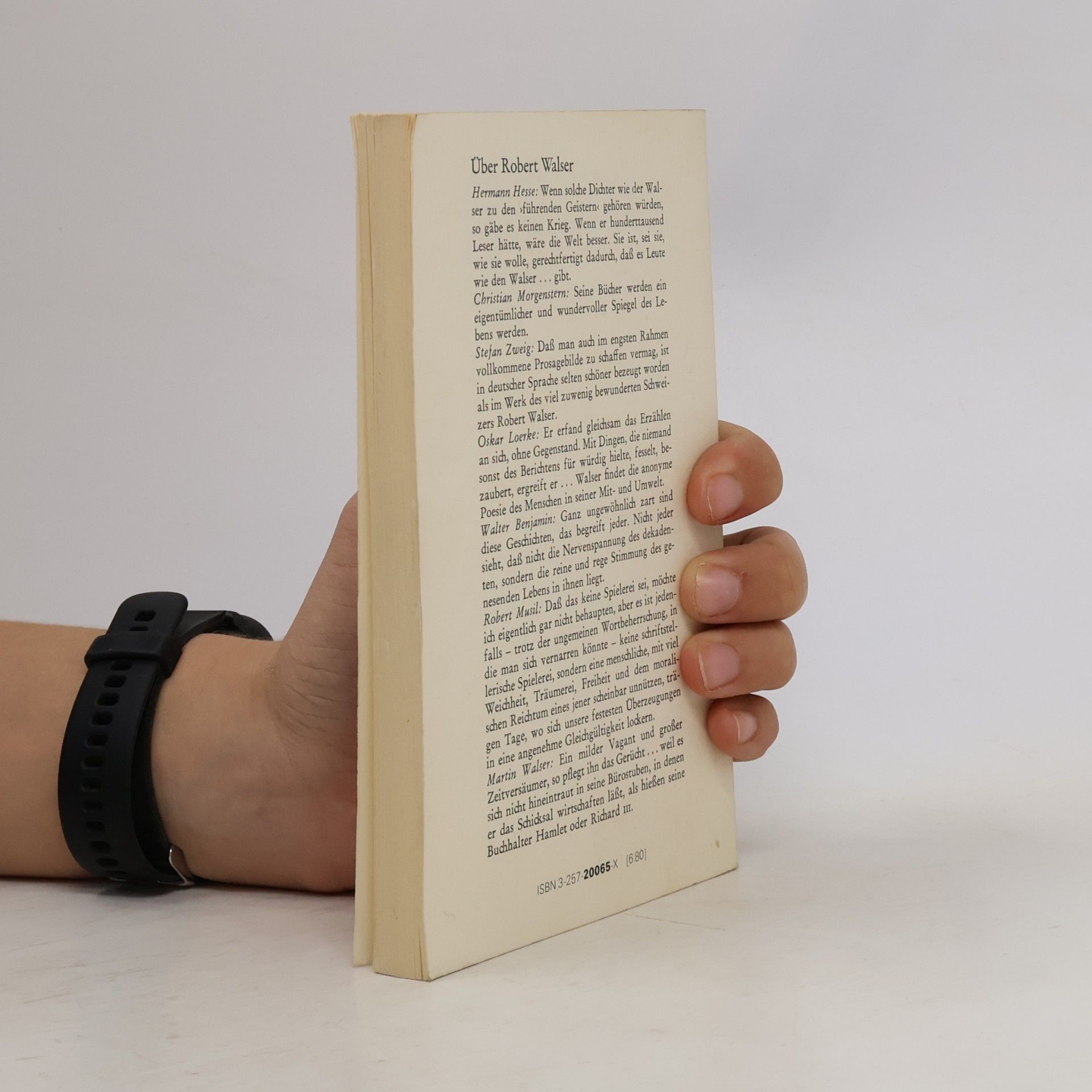 Robert Walser Der Spaziergang