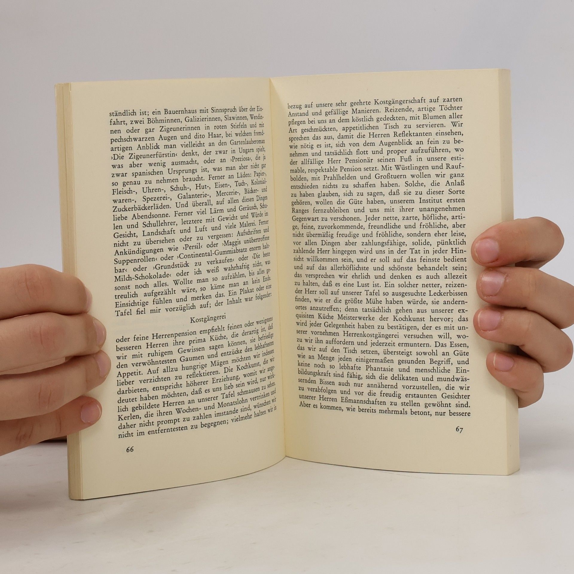 Robert Walser Der Spaziergang