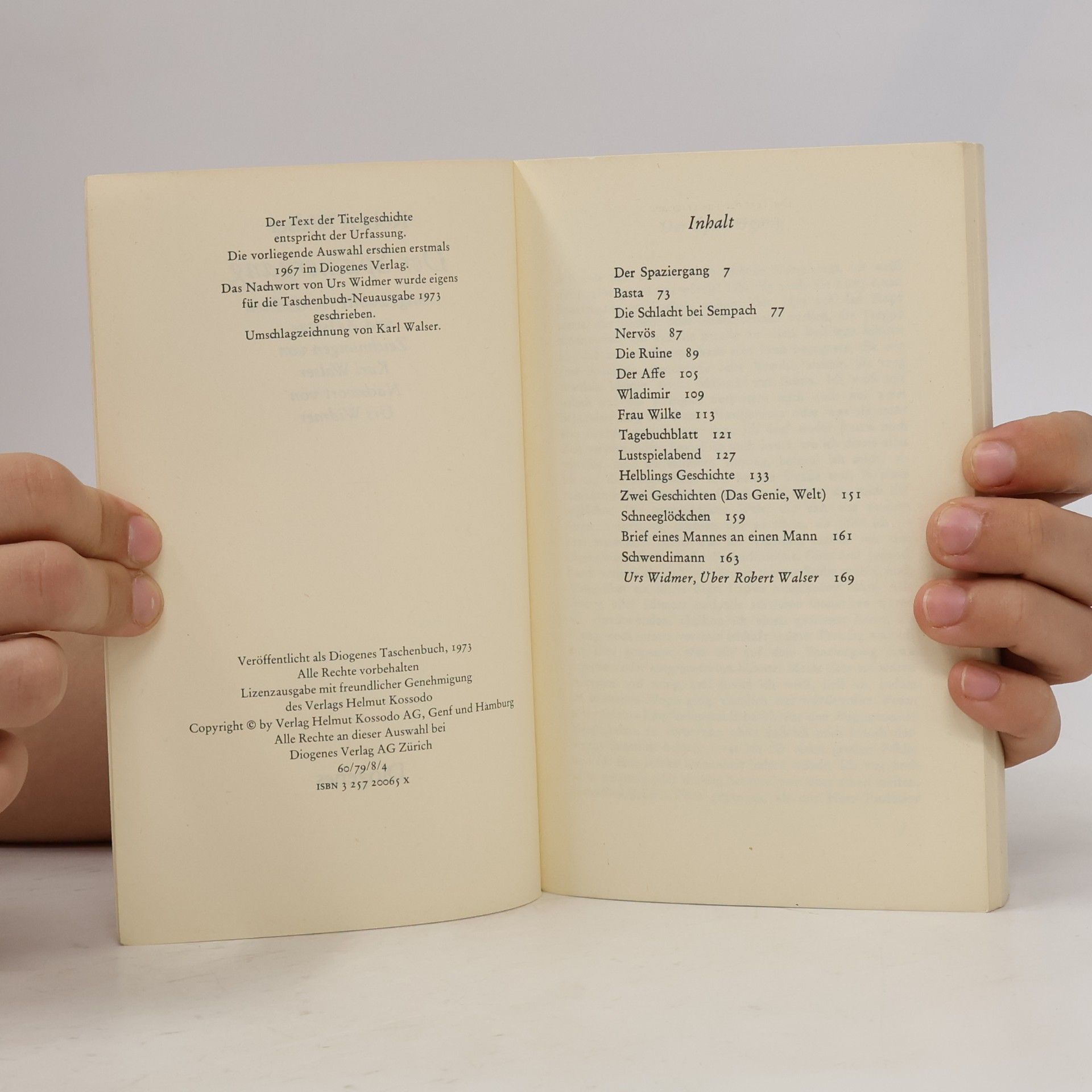 Robert Walser Der Spaziergang