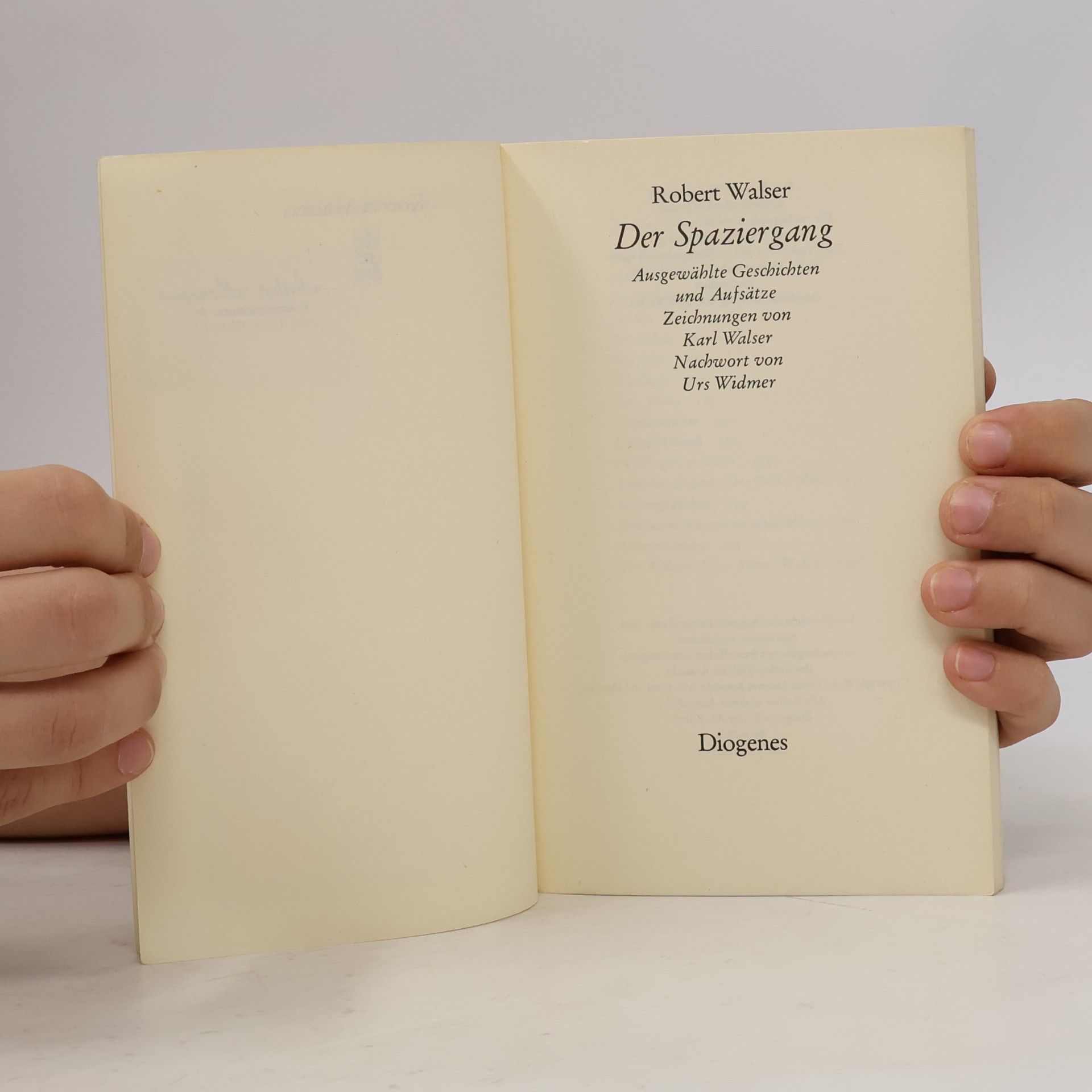 Robert Walser Der Spaziergang