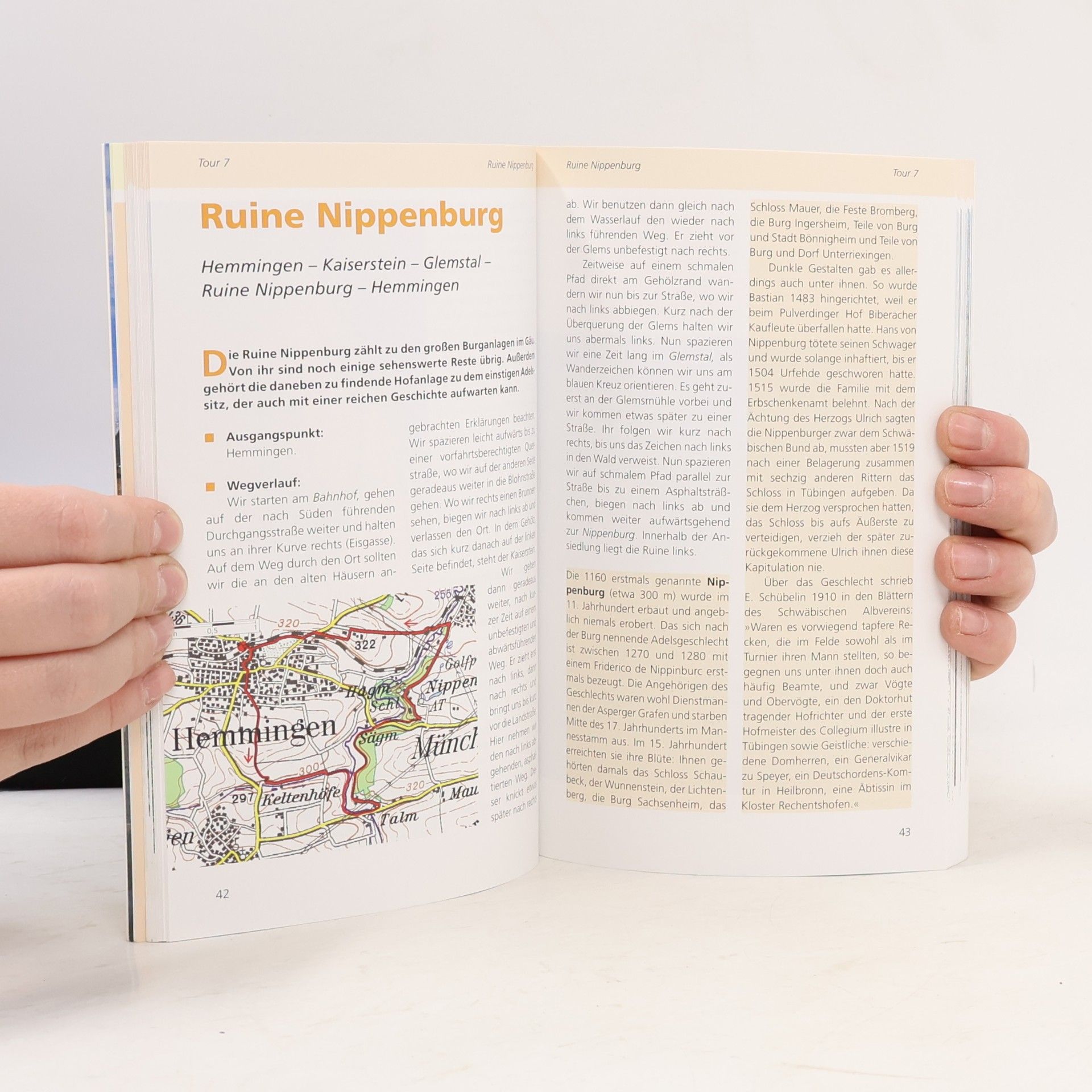 Buck Dieter Burgenziele im Ländle