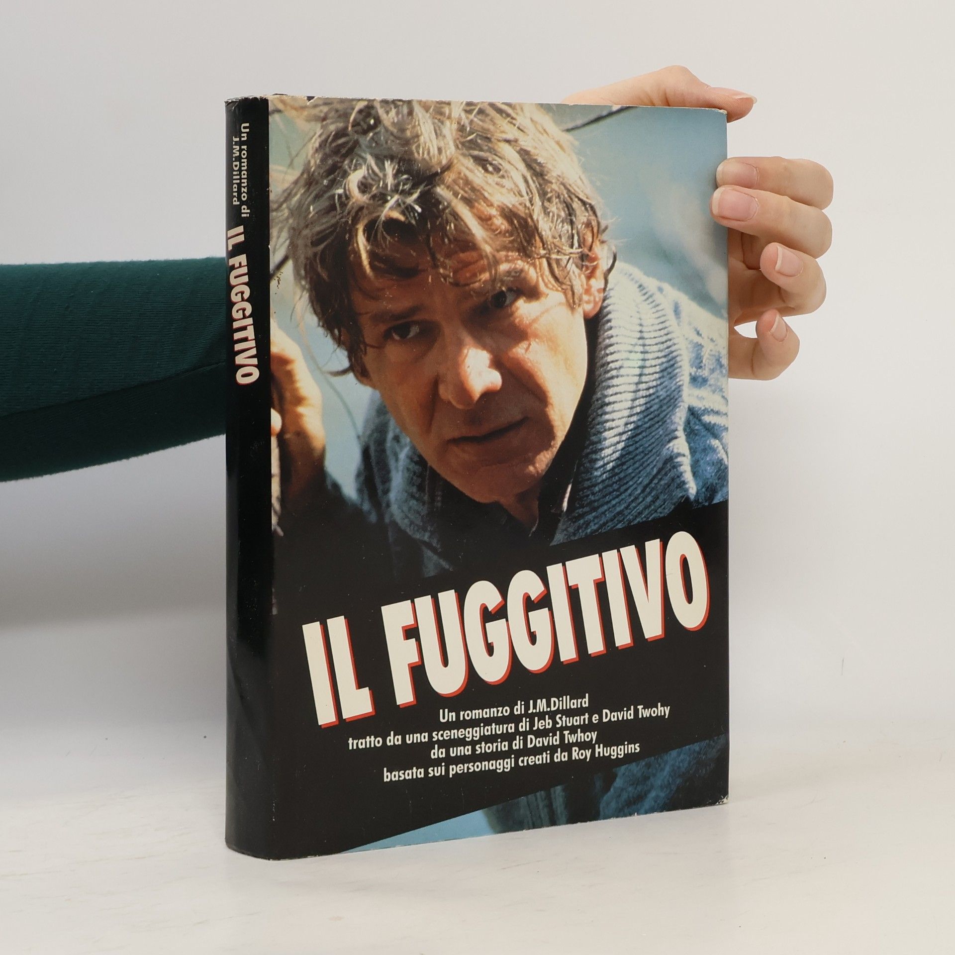 Anna Maria Raffo Il Fuggitivo