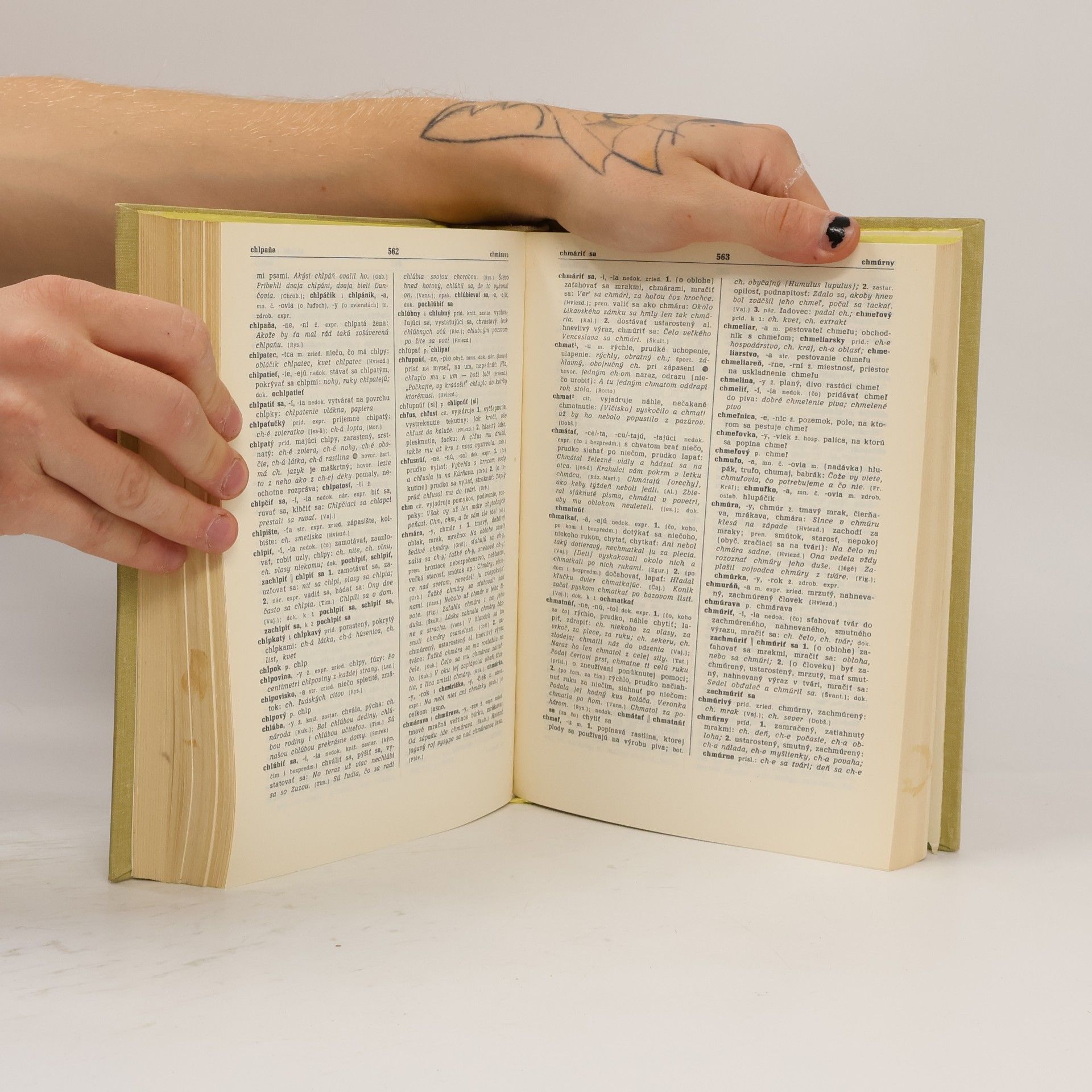 Autorenkollektiv Slovník slovenského jazyka I. a-k
